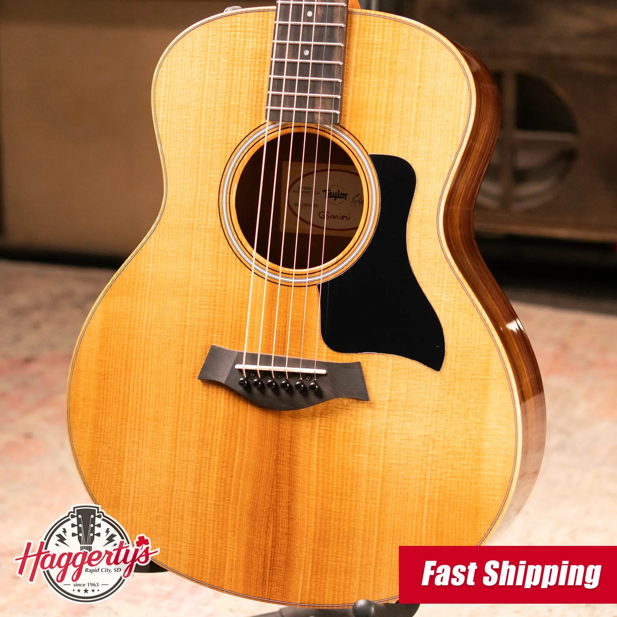 Taylor GS Mini-e Rosewood Plus Acoustic/Electric Guitar with Aerocase