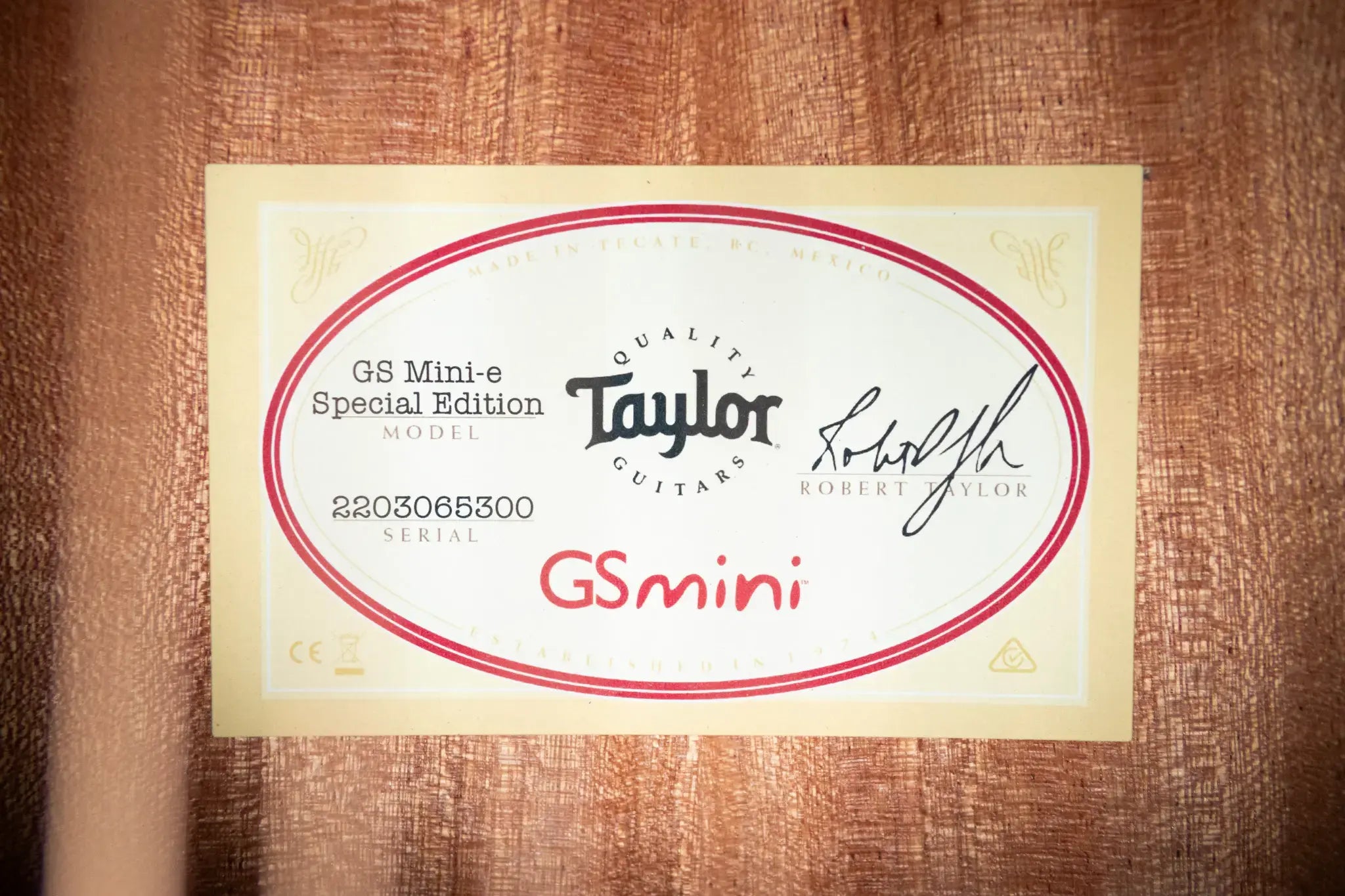 Taylor GS Mini-e Special Edition Acoustic/Electric Guitar - Blue Burst with GS Mini Bag