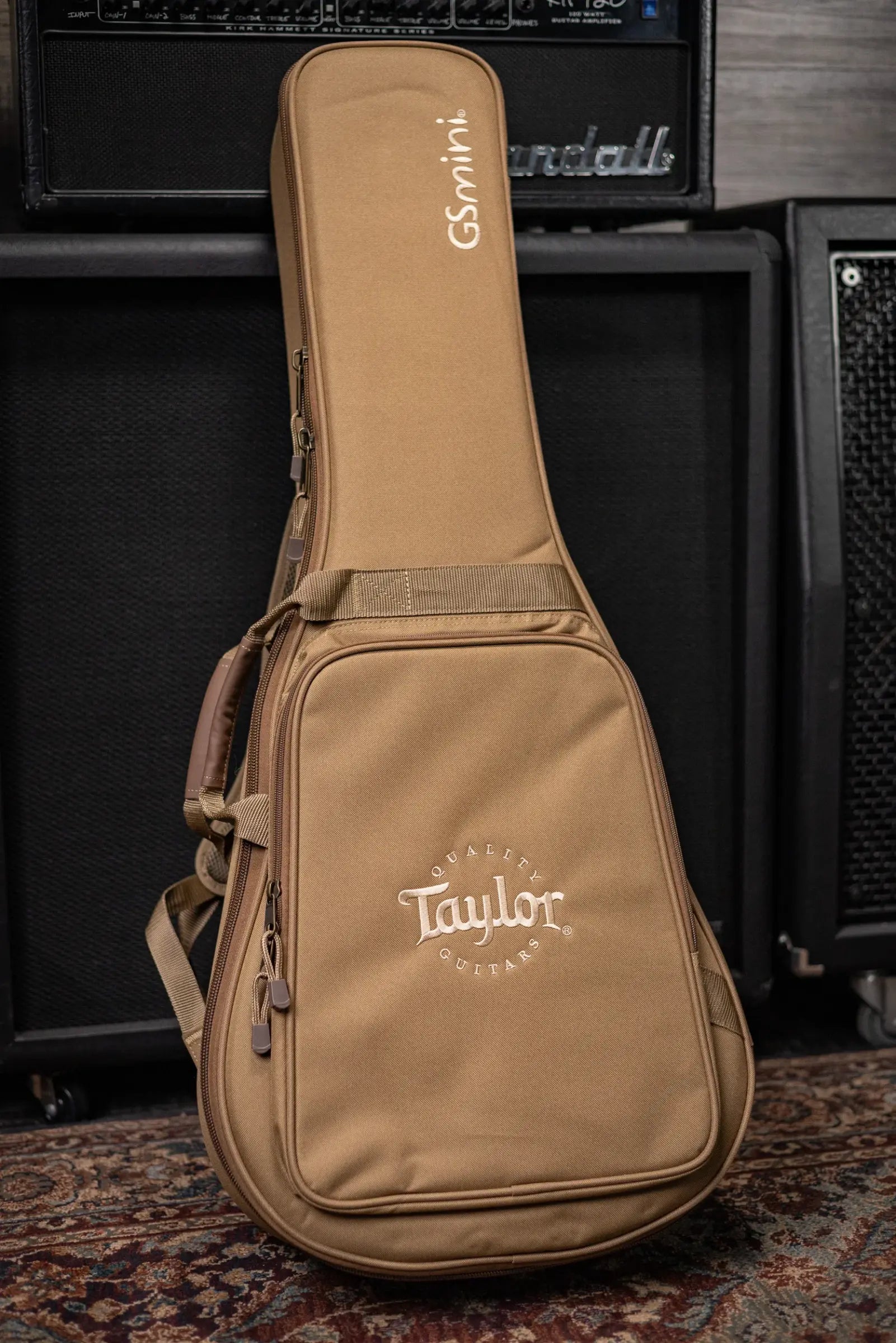 Taylor GS Mini-e Special Edition Acoustic/Electric Guitar - Olive with Gig Bag