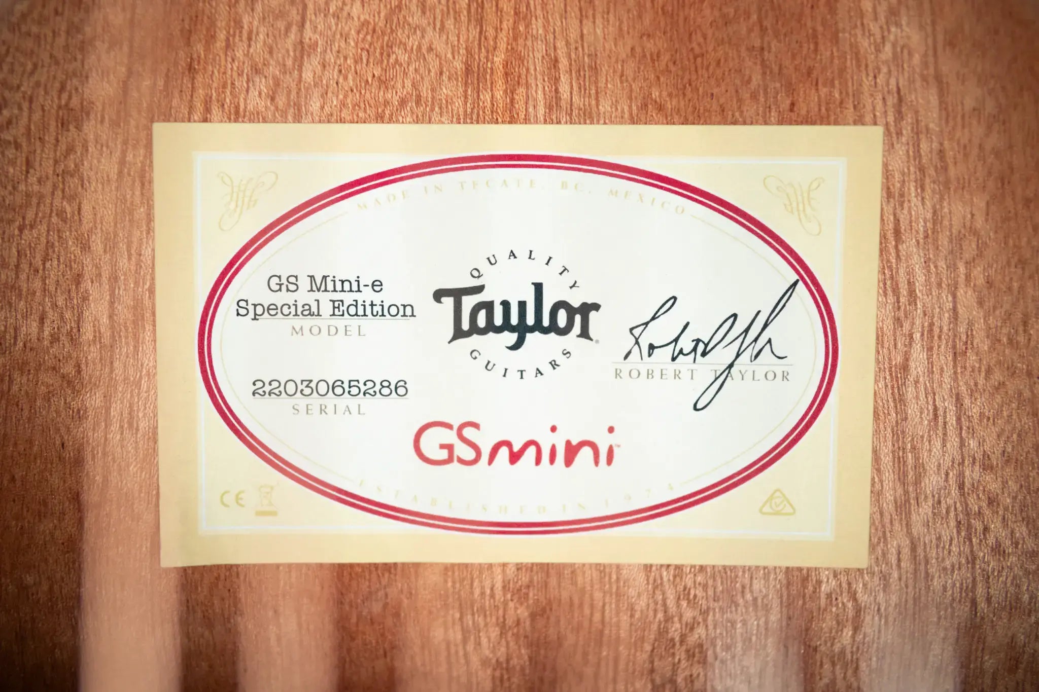 Taylor GS Mini-e Special Edition Acoustic/Electric Guitar - Paisley Burst with GS Mini Bag