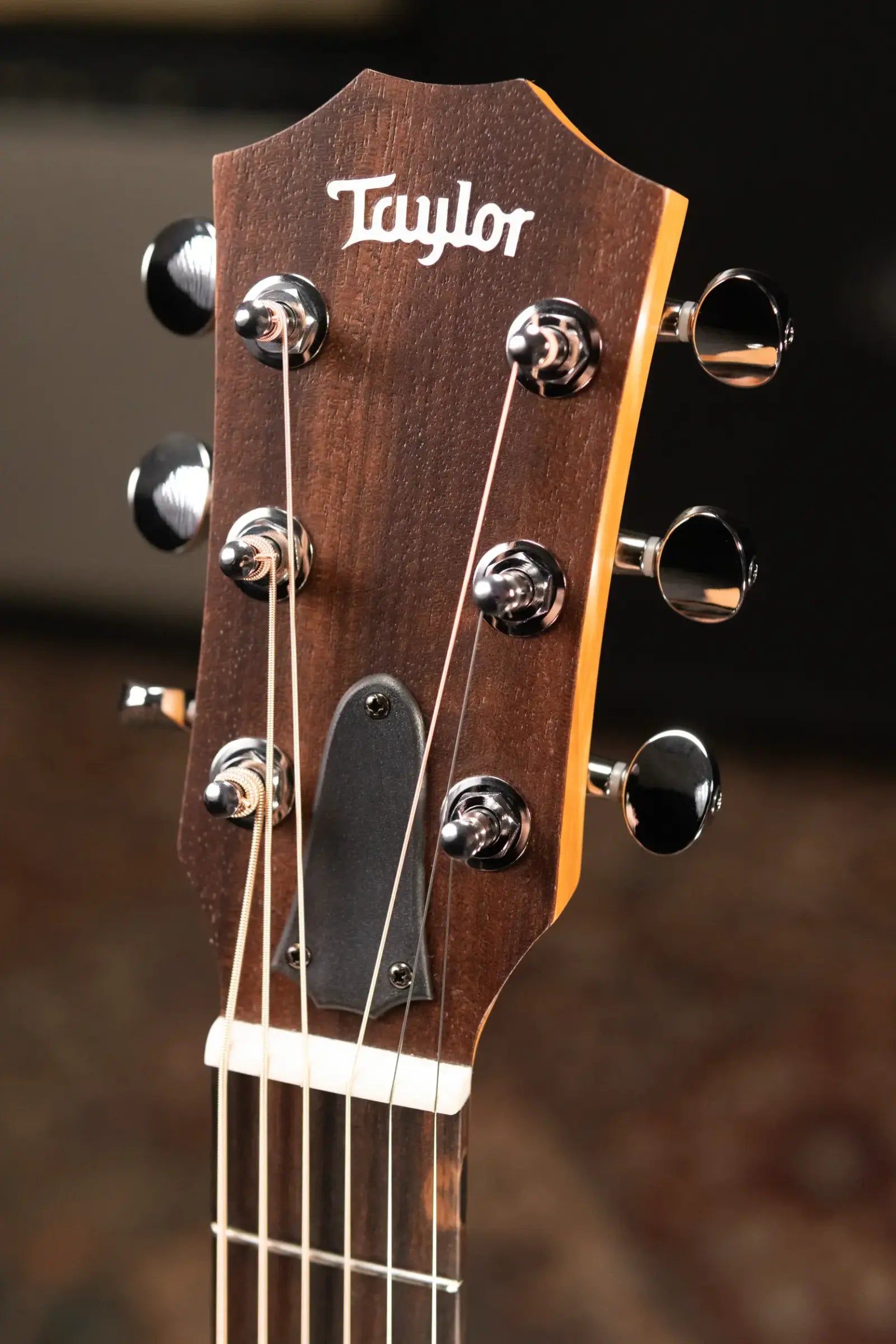 Taylor GS Mini-e Special Edition Acoustic/Electric Guitar - Paisley Burst with GS Mini Bag