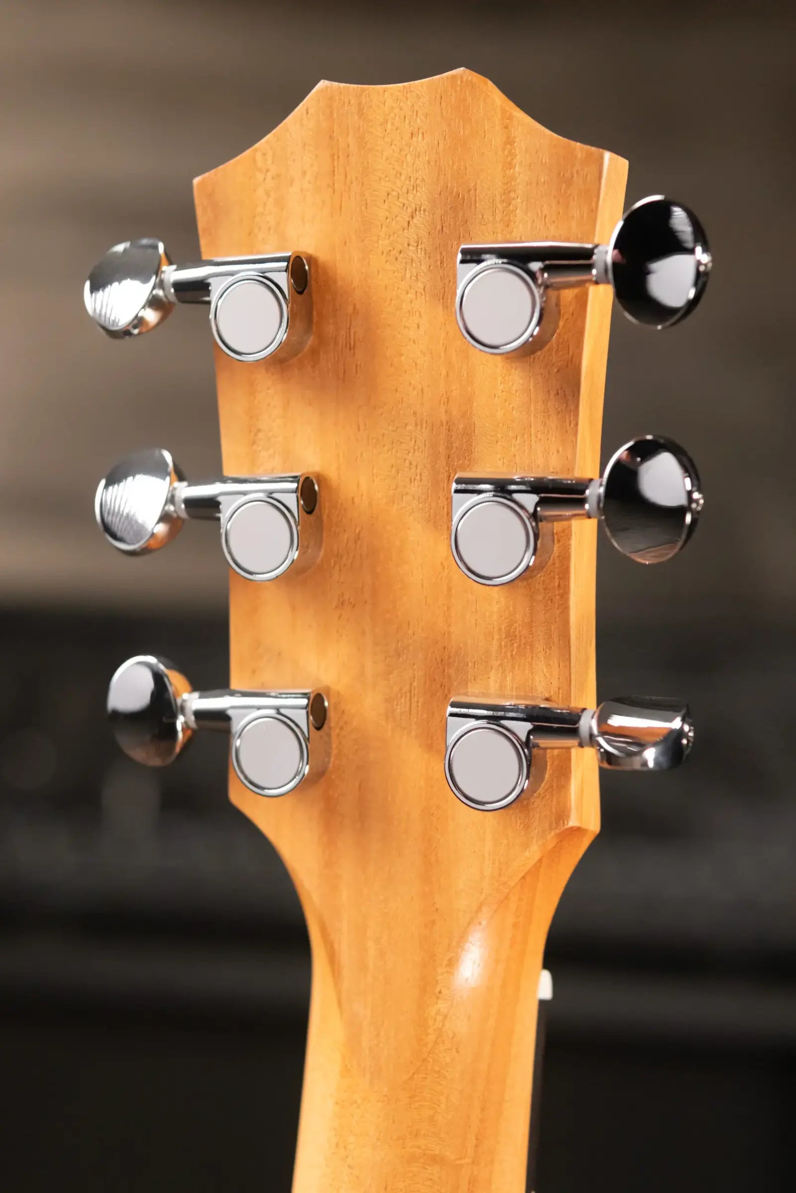 Taylor GS Mini-e Special Edition Acoustic/Electric Guitar - Paisley Burst with GS Mini Bag
