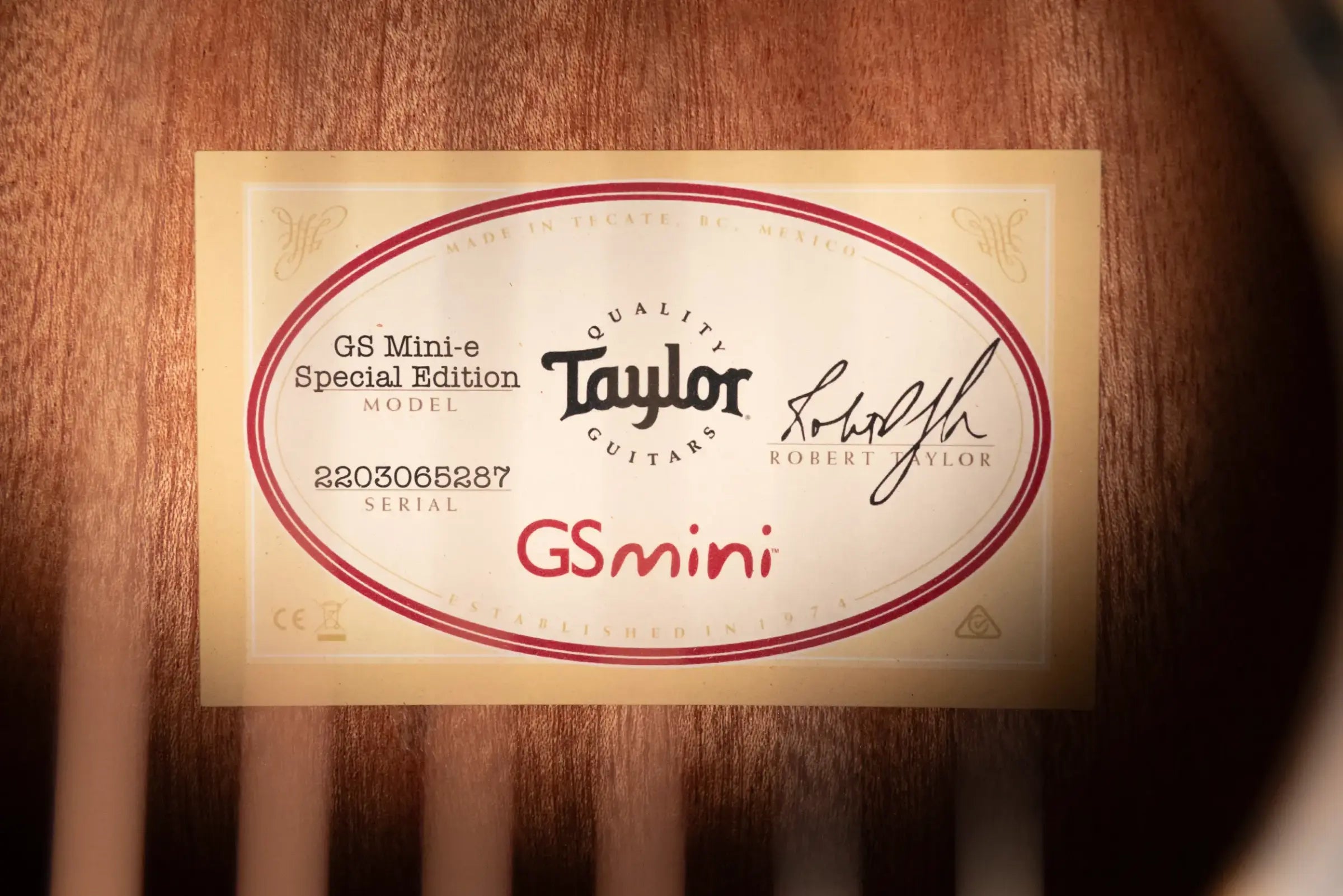Taylor GS Mini-e Special Edition Acoustic/Electric Guitar - Paisley Burst with GS Mini Bag