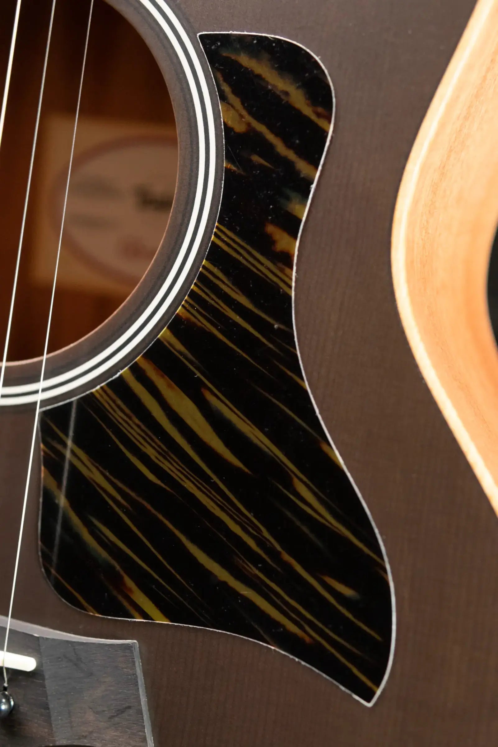 Taylor GS Mini-e Special Edition Acoustic/Electric - Transparent Black with GS Mini Bag