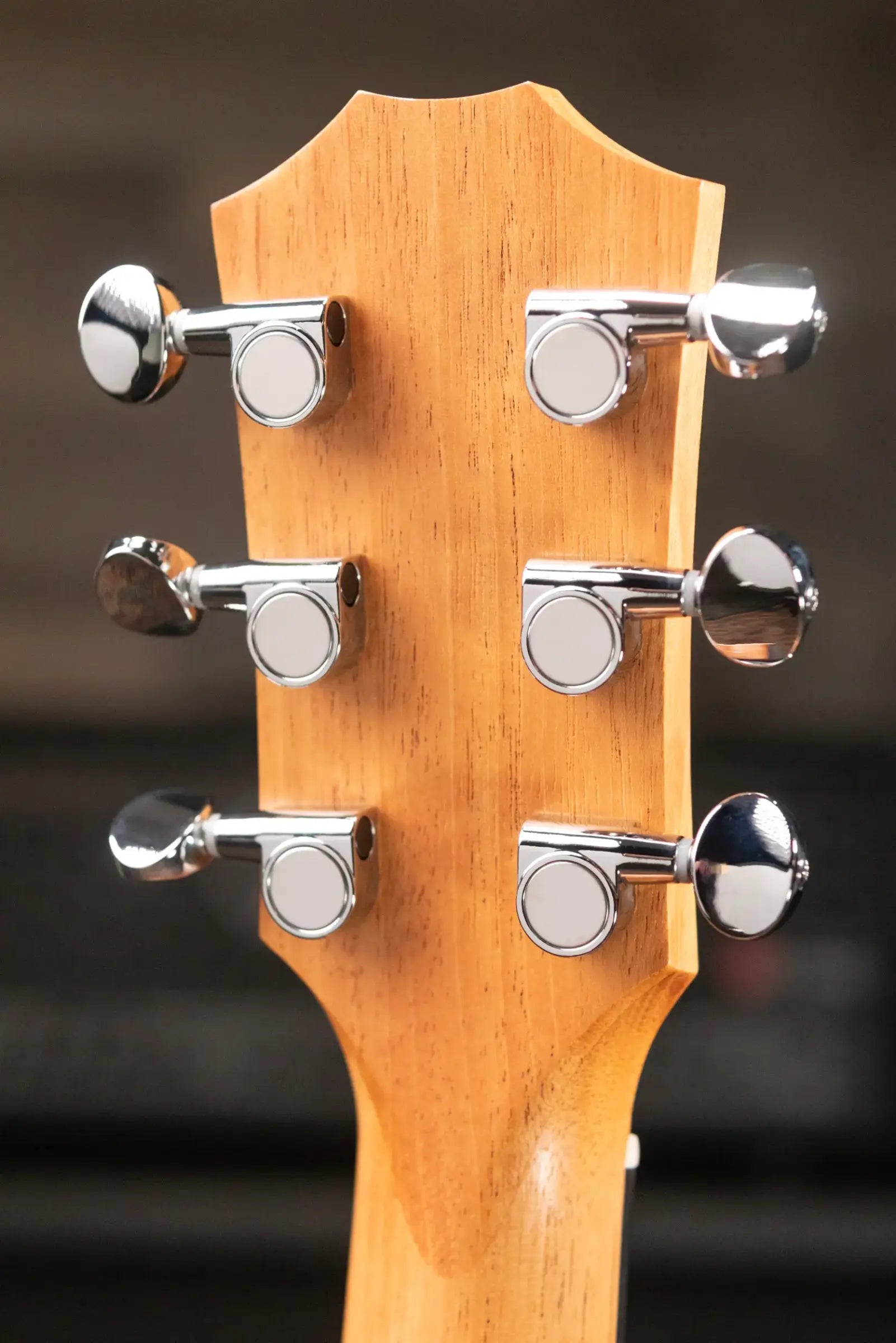 Taylor GS Mini-e Special Edition Acoustic/Electric - Transparent Black with GS Mini Bag