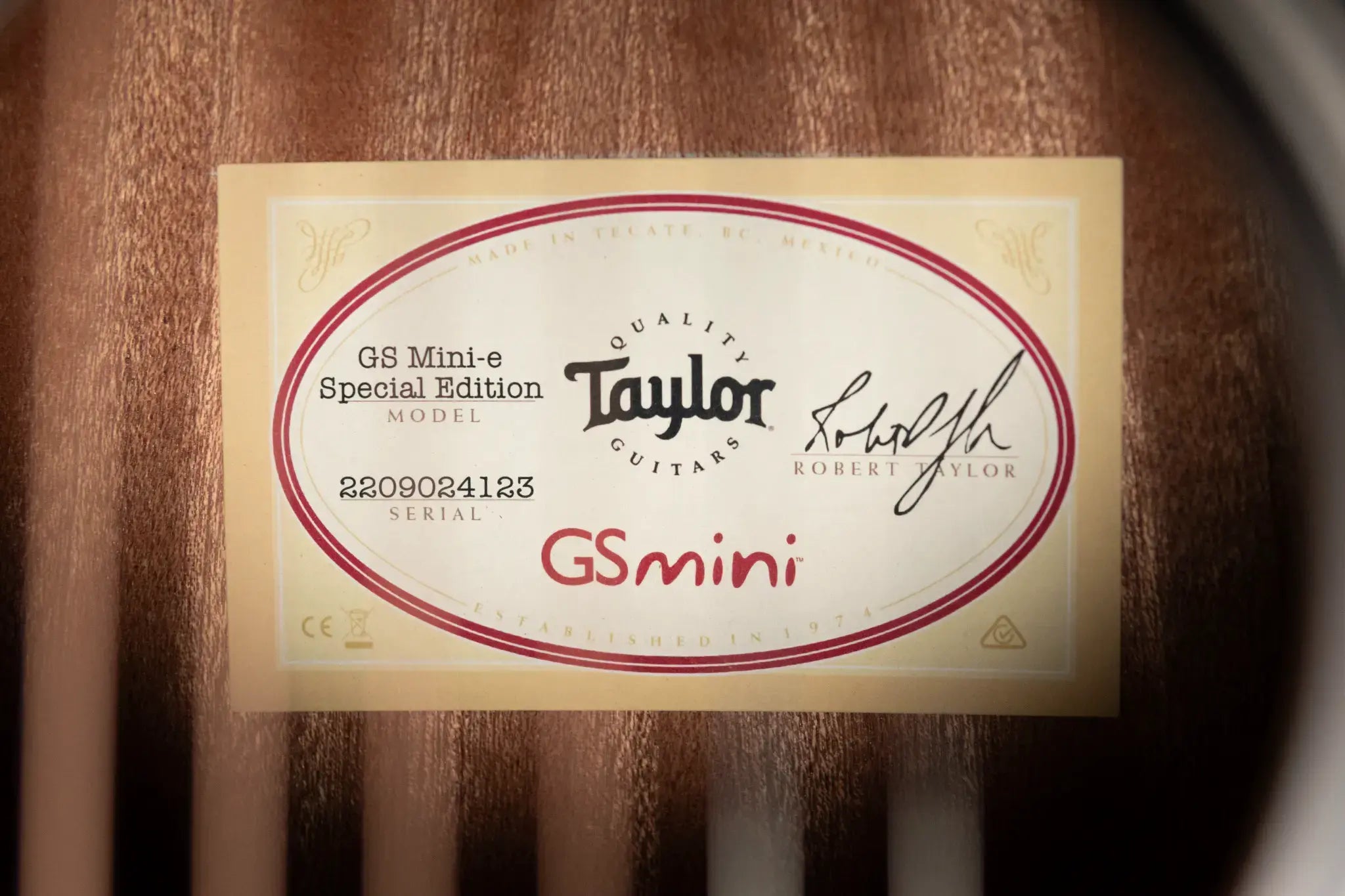 Taylor GS Mini-e Special Edition Acoustic/Electric - Victorian Burst with GS Mini Bag