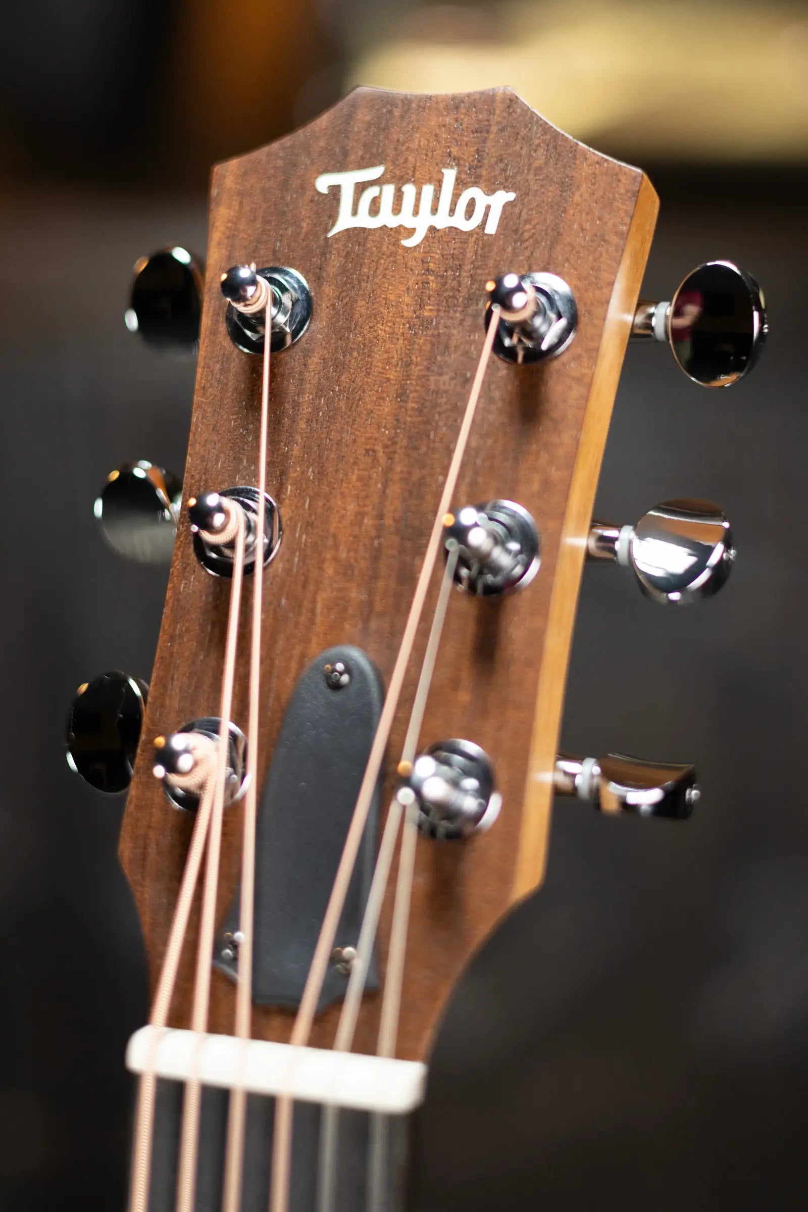 Taylor GS Mini-e Special Edition - Victorian Burst with GS Mini Bag