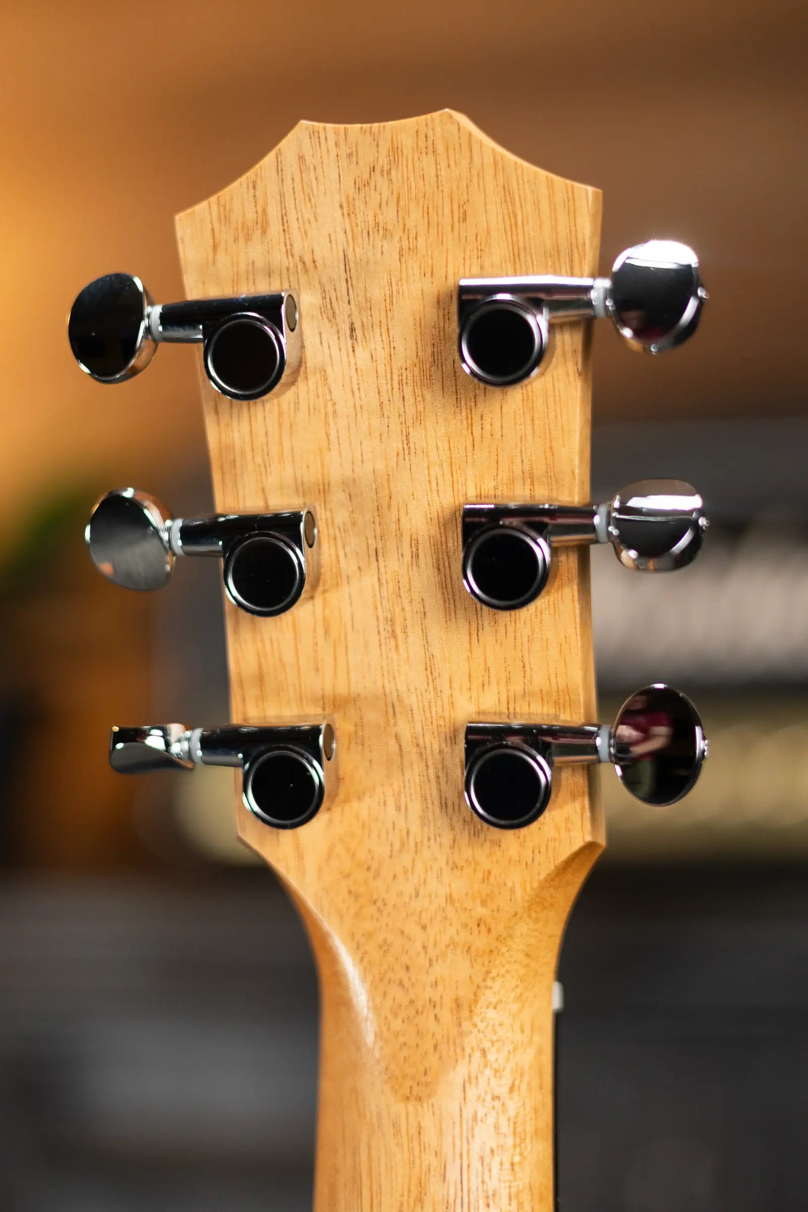 Taylor GS Mini-e Special Edition - Victorian Burst with GS Mini Bag