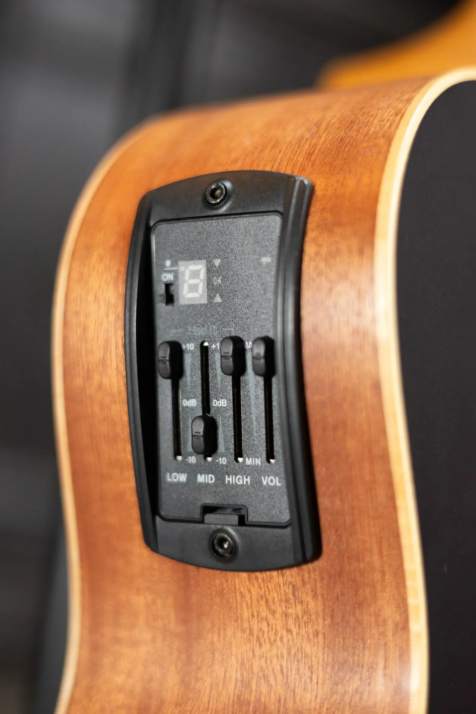 Taylor GS Mini-e Special Edition - Victorian Burst with GS Mini Bag