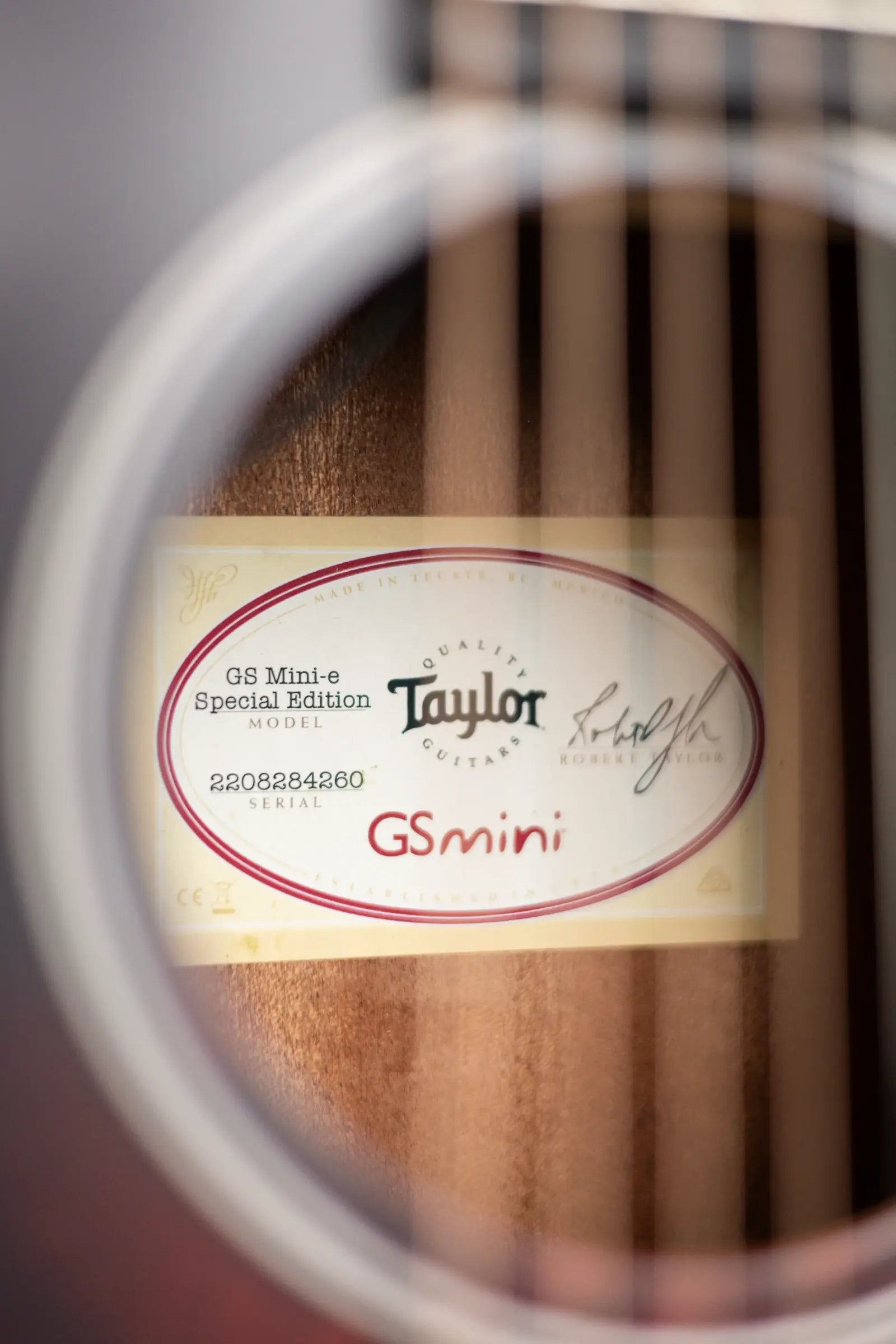 Taylor GS Mini-e Special Edition - Victorian Burst with GS Mini Bag
