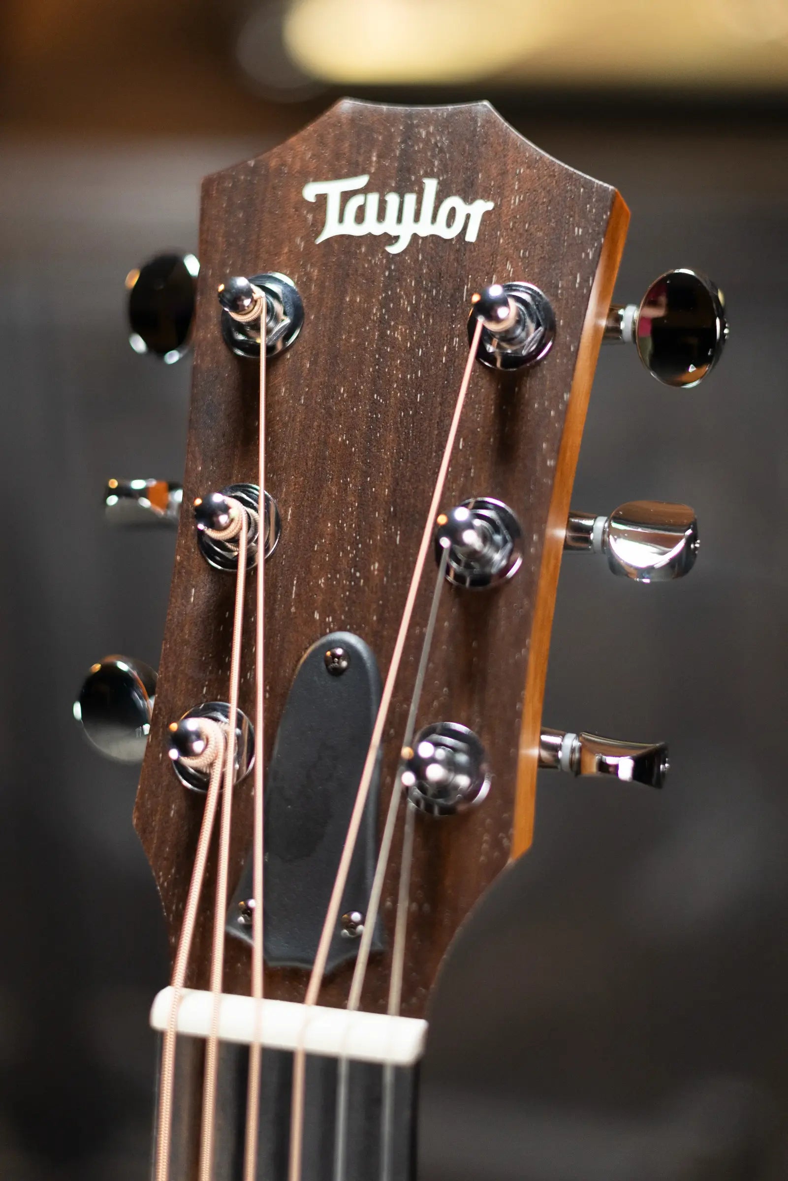 Taylor GS Mini-e Special Edition - Victorian Burst with GS Mini Bag