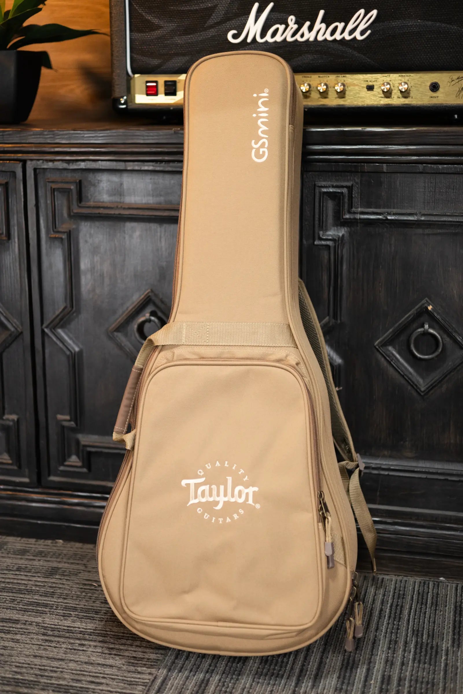 Taylor GS Mini-e Special Edition - Victorian Burst with GS Mini Bag