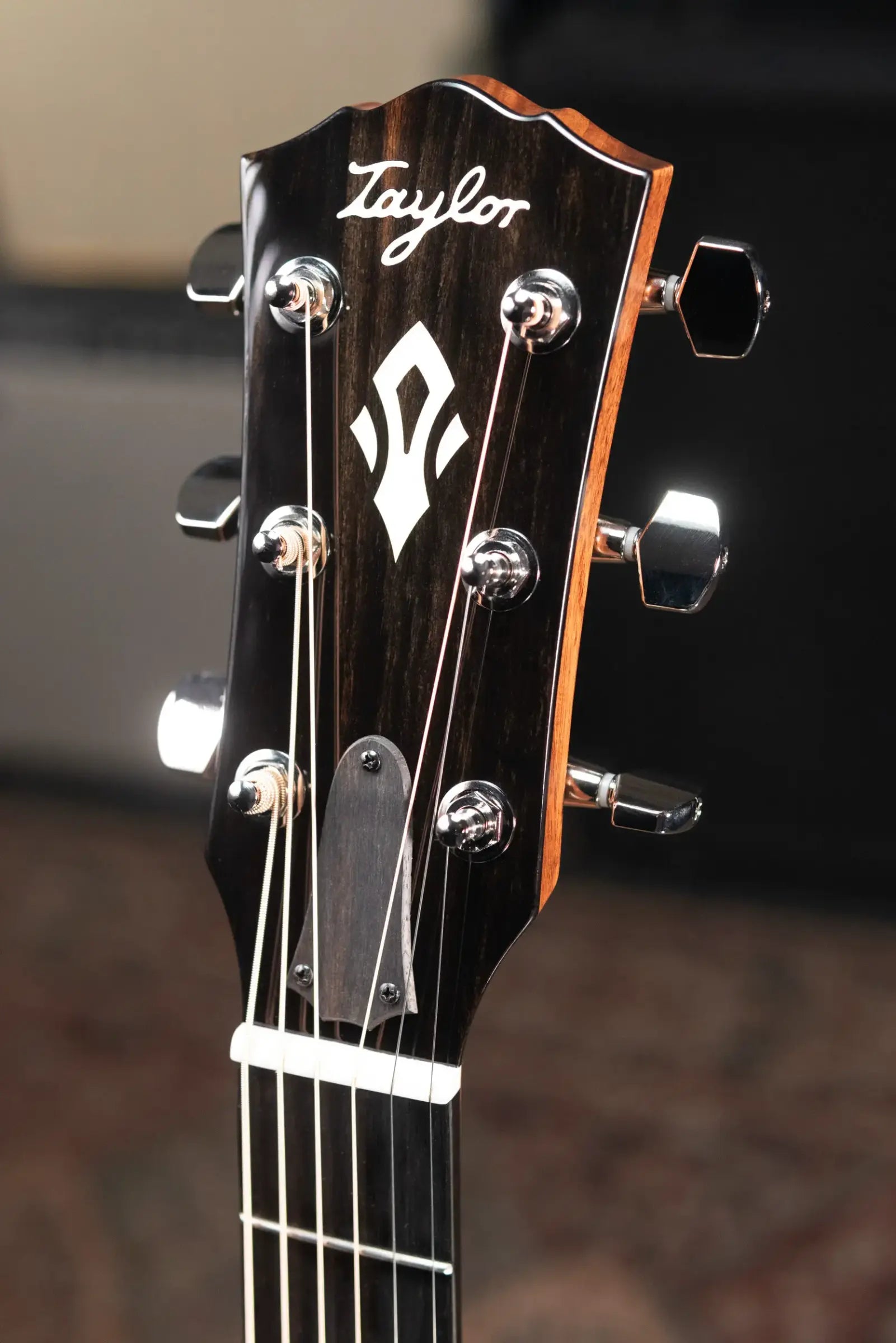 Taylor Gold Label 510e Dreadnought Acoustic/Electric Guitar with Hardshell Case