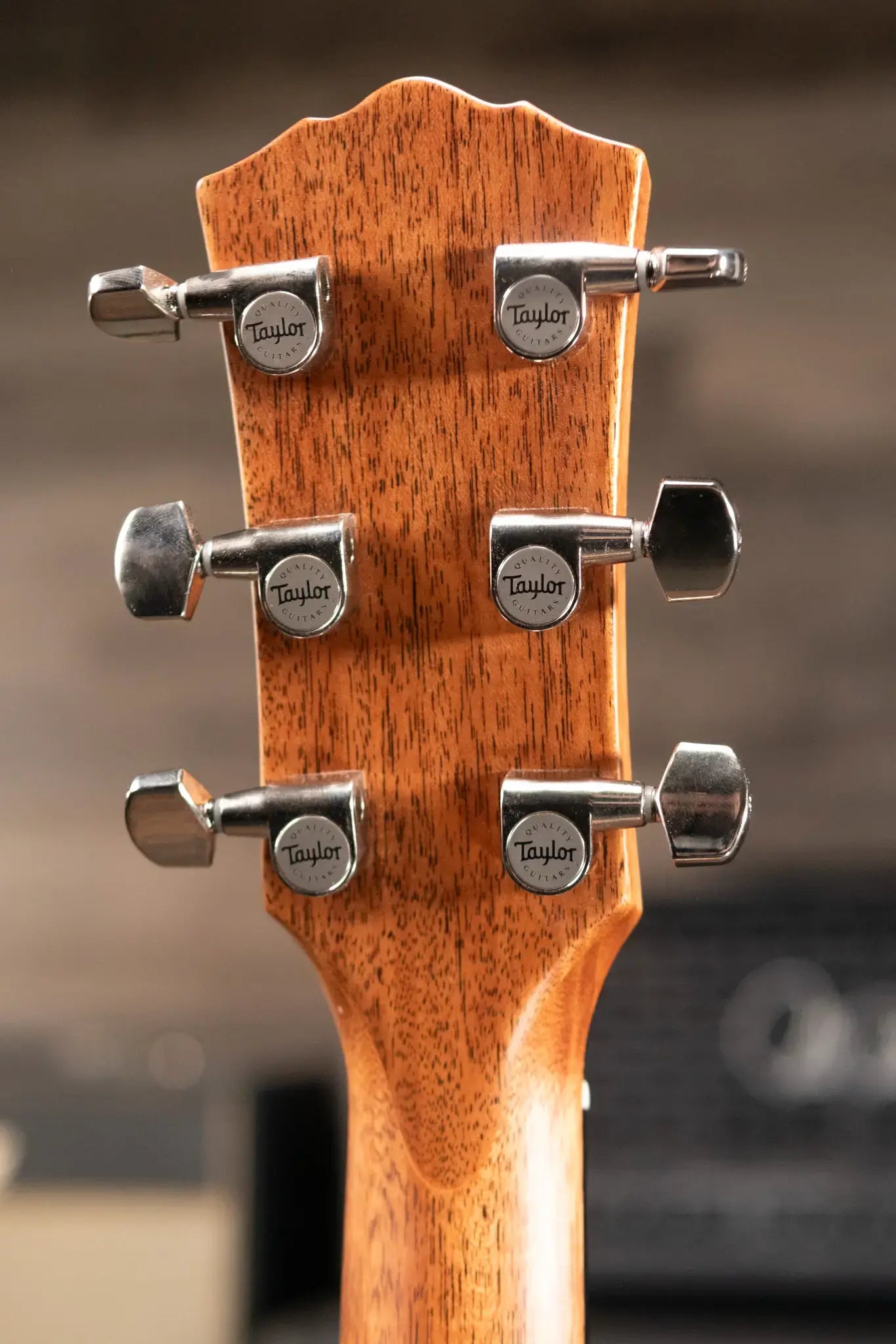 Taylor Gold Label 514e SB Super Auditorium Acoustic/Electric Guitar - Sunburst with Firestripe Pickguard and Hardshell Case
