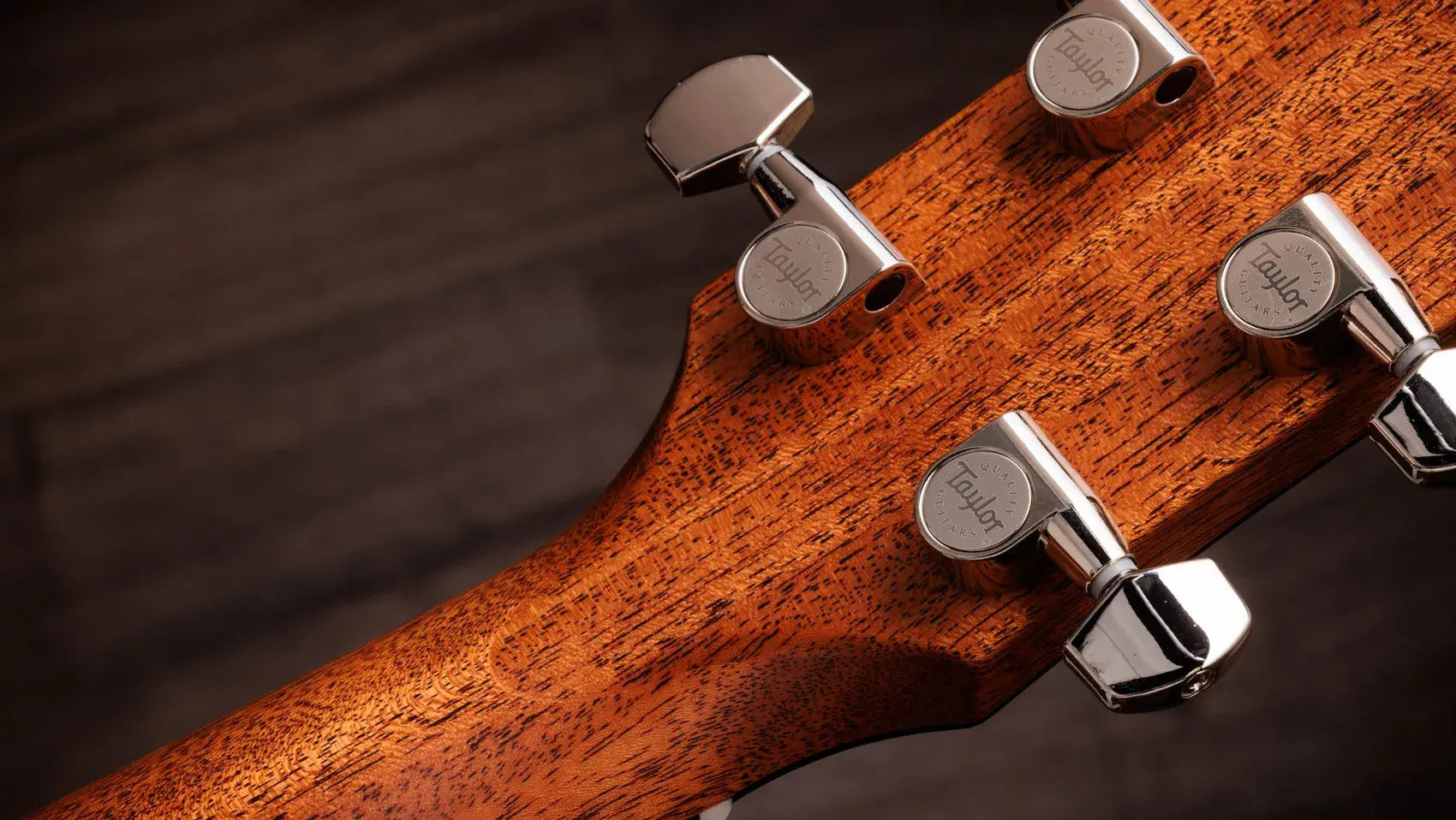 Taylor Gold Label 514e Super Auditorium Acoustic/Electric Guitar - Blacktop with Hardshell Case