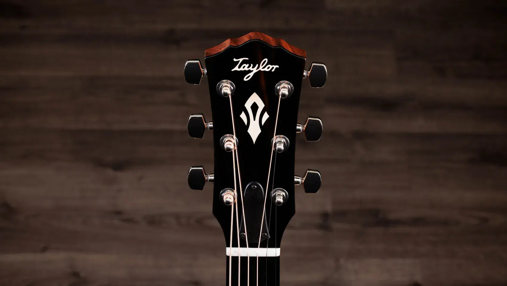 Taylor Gold Label 514e Super Auditorium Acoustic/Electric Guitar - Blacktop with Hardshell Case