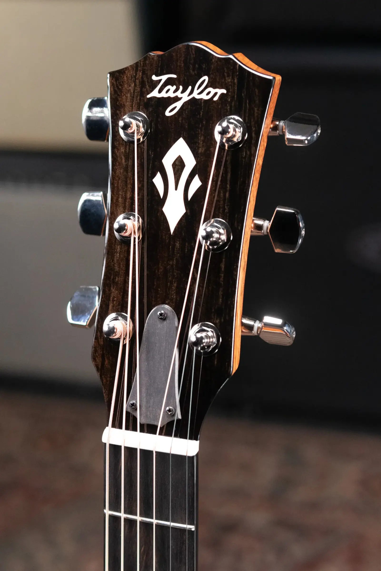 Taylor Gold Label 514e Super Auditorium Acoustic/Electric Guitar with Hardshell Case
