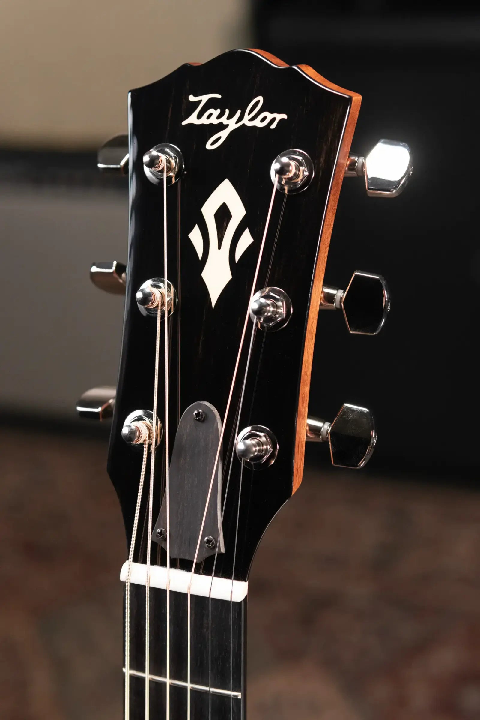 Taylor Gold Label 517e Grand Pacific Acoustic/Electric Guitar - Blacktop with Hardshell Case - Factory Demo