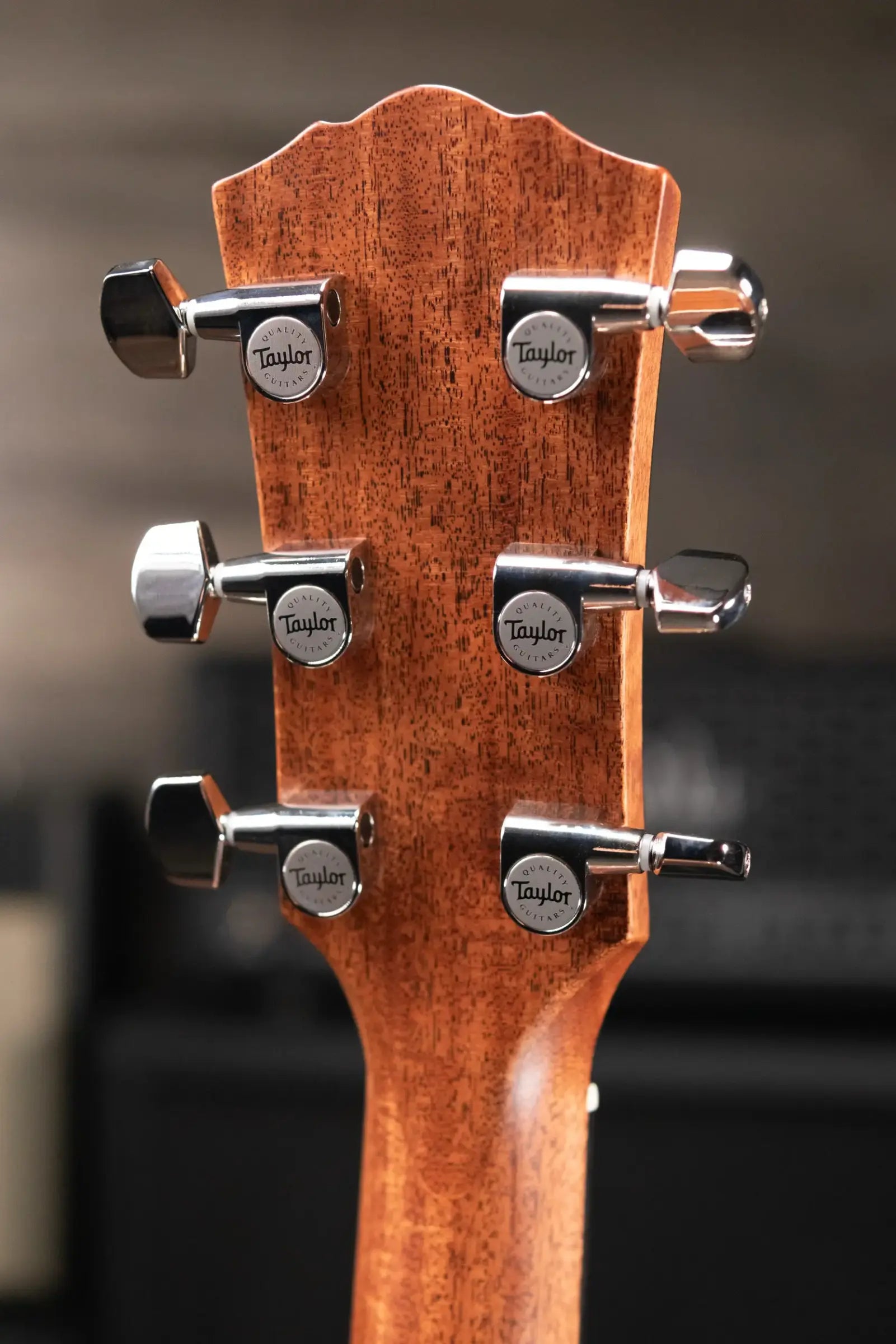 Taylor Gold Label 517e Grand Pacific Acoustic/Electric Guitar - Blacktop with Hardshell Case - Factory Demo