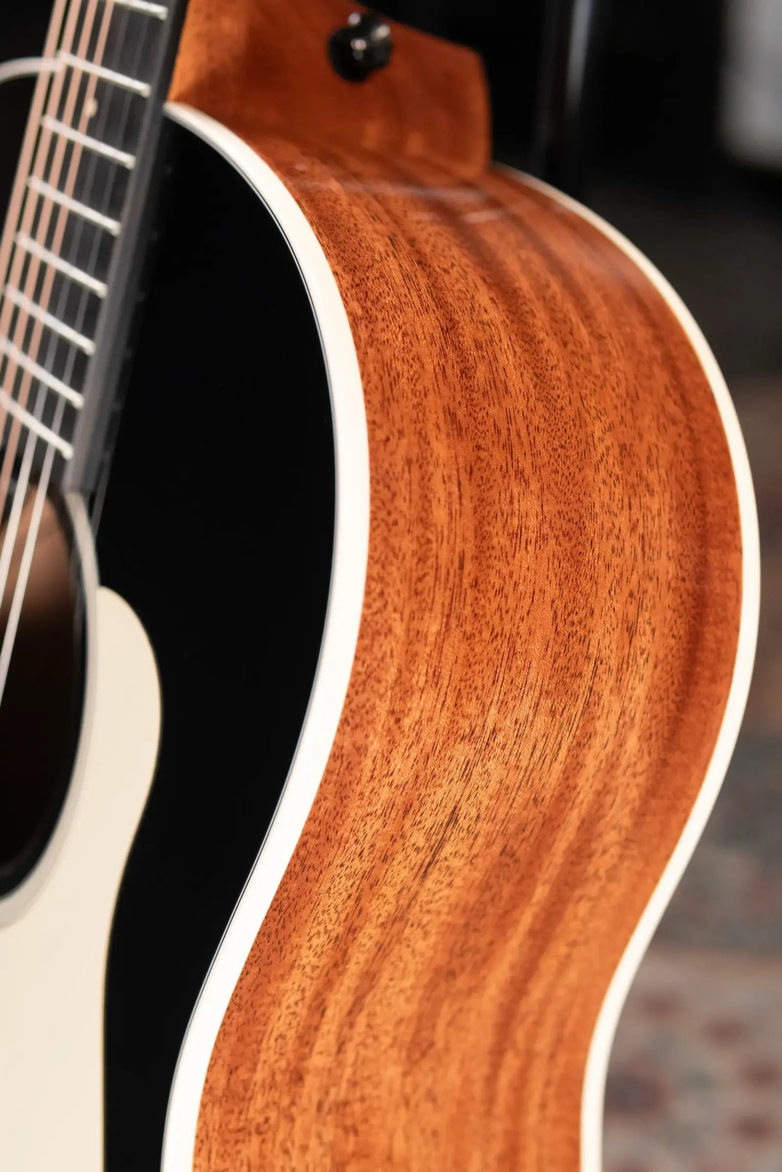 Taylor Gold Label 517e Grand Pacific Acoustic/Electric Guitar - Blacktop with Hardshell Case - Factory Demo