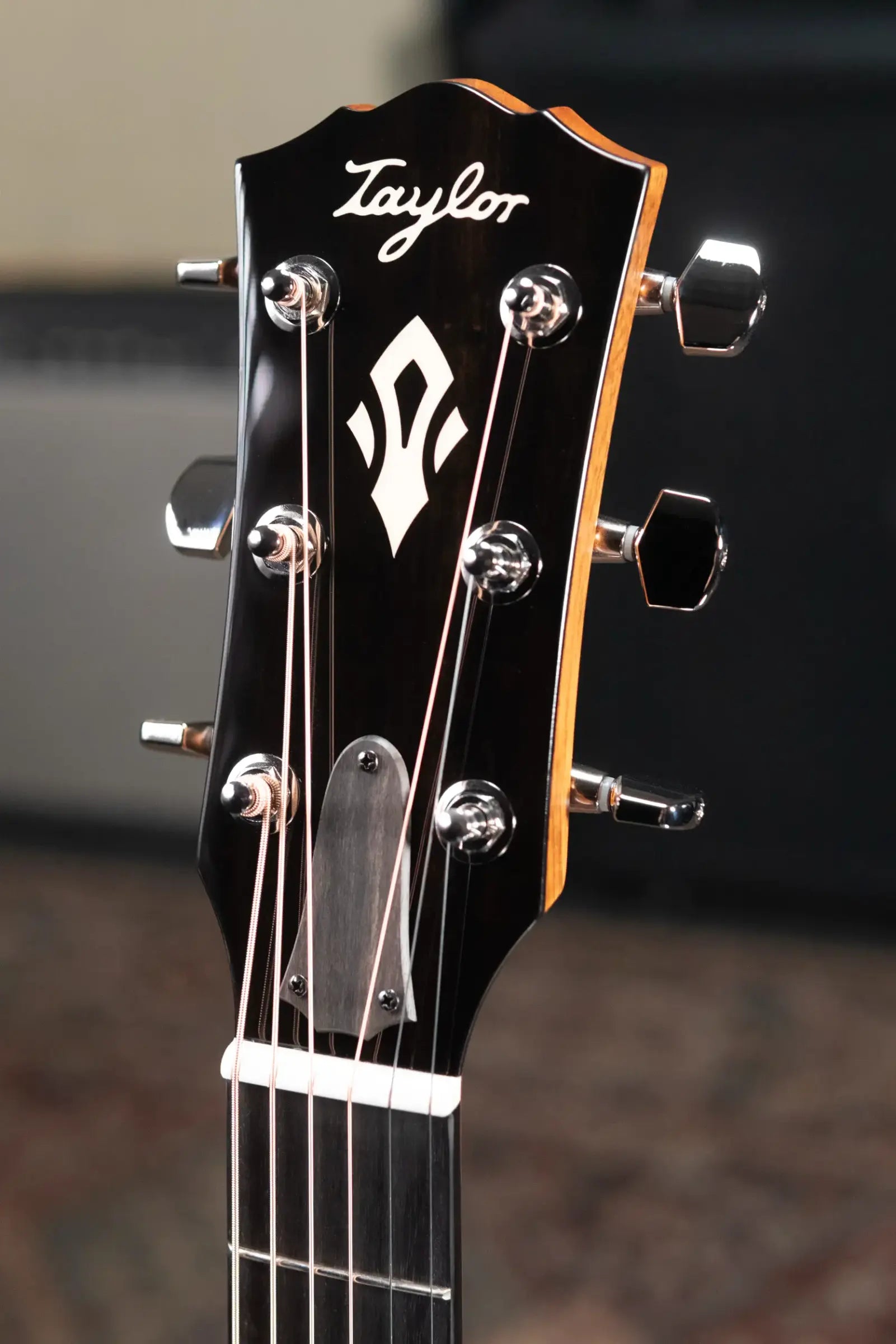 Taylor Gold Label 517e Grand Pacific Acoustic/Electric Guitar - Blacktop with Hardshell Case