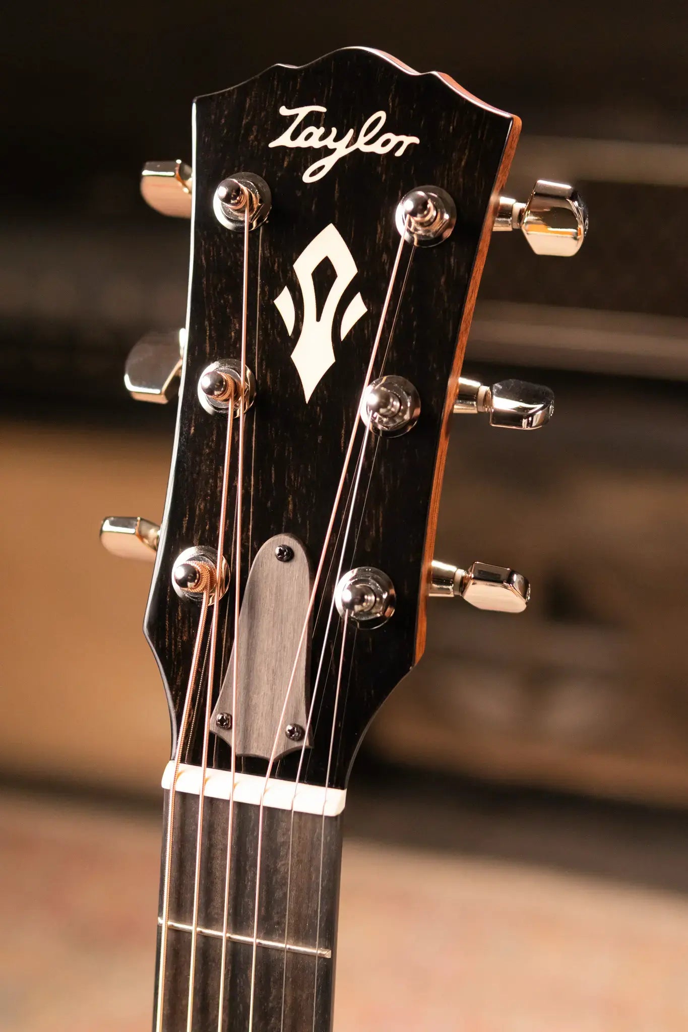 Taylor Gold Label 517e Grand Pacific Acoustic/Electric Guitar - Natural Top with Cream Pickguard and Hardshell Case - Factory Demo