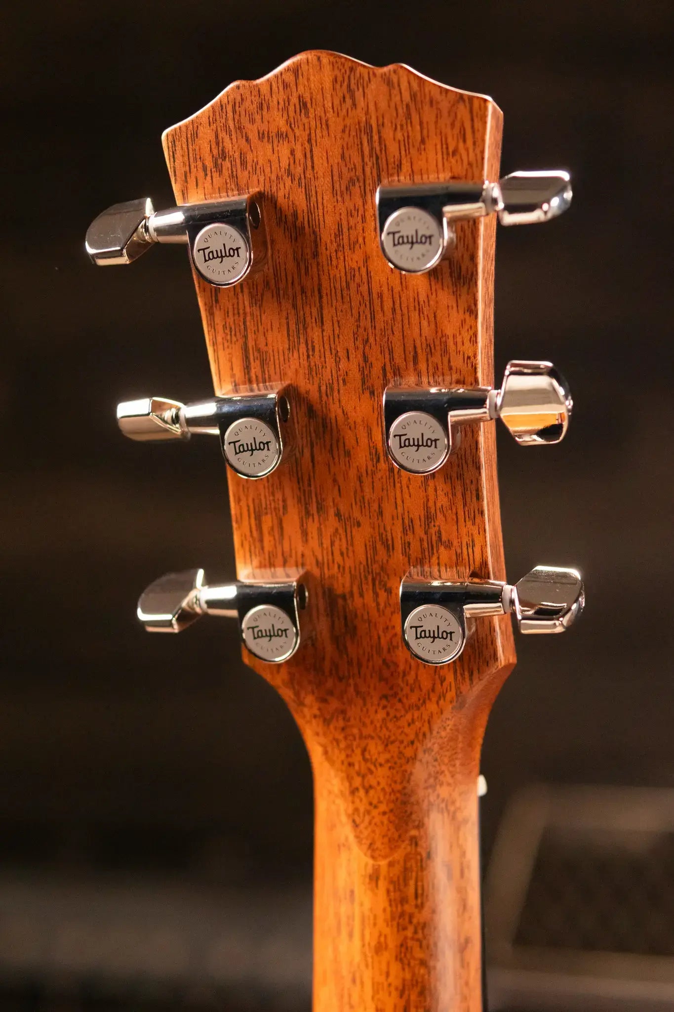 Taylor Gold Label 517e Grand Pacific Acoustic/Electric Guitar - Natural Top with Cream Pickguard and Hardshell Case - Factory Demo