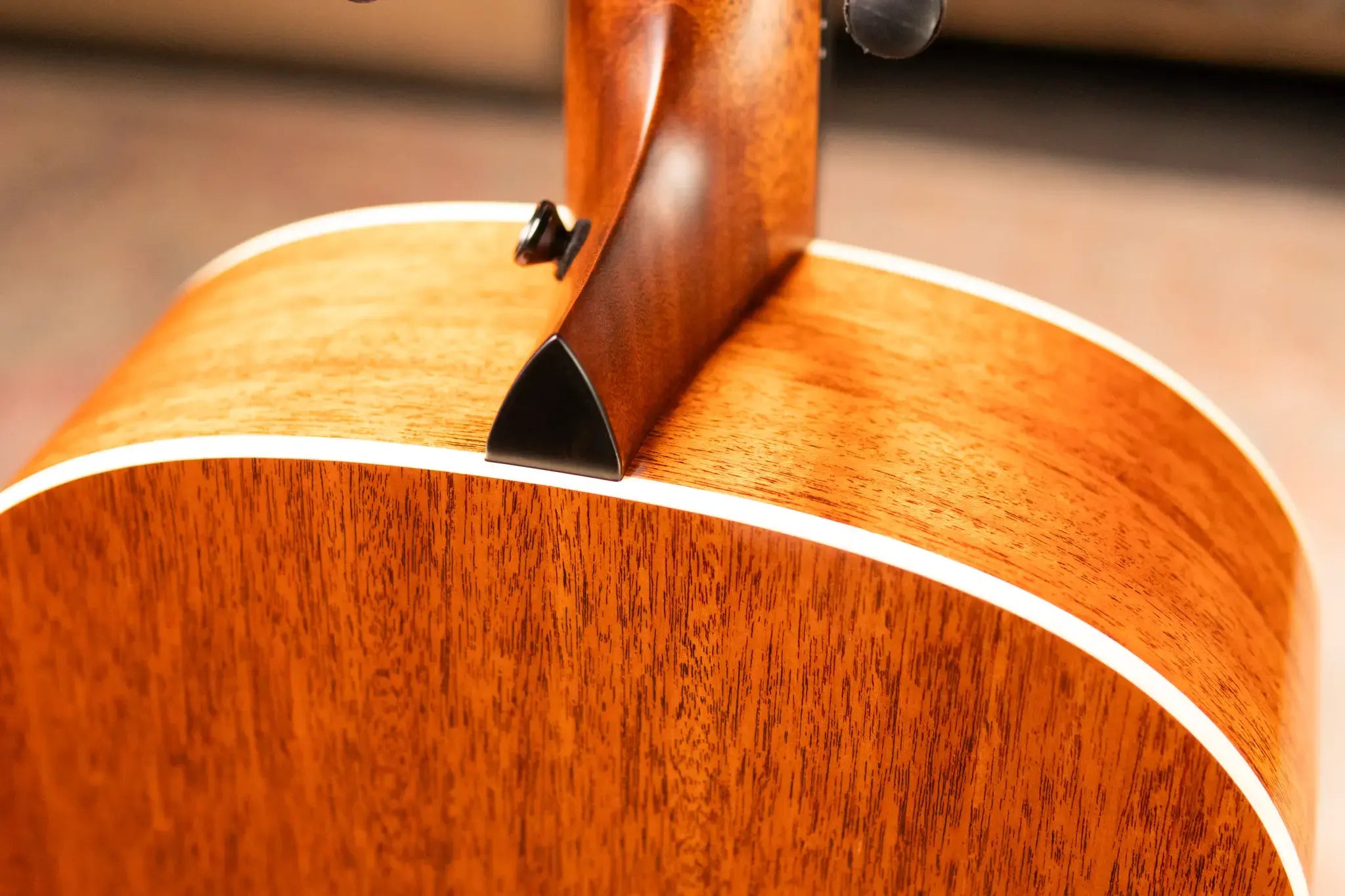 Taylor Gold Label 517e Grand Pacific Acoustic/Electric Guitar - Natural Top with Cream Pickguard and Hardshell Case - Factory Demo