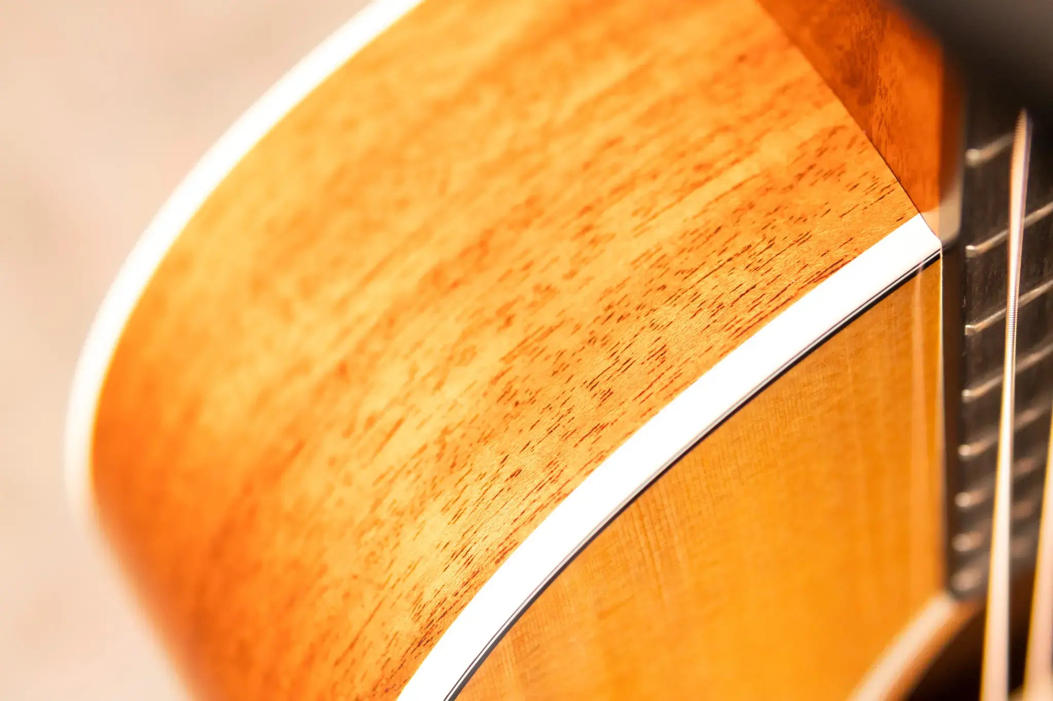 Taylor Gold Label 517e Grand Pacific Acoustic/Electric Guitar - Natural Top with Cream Pickguard and Hardshell Case - Factory Demo