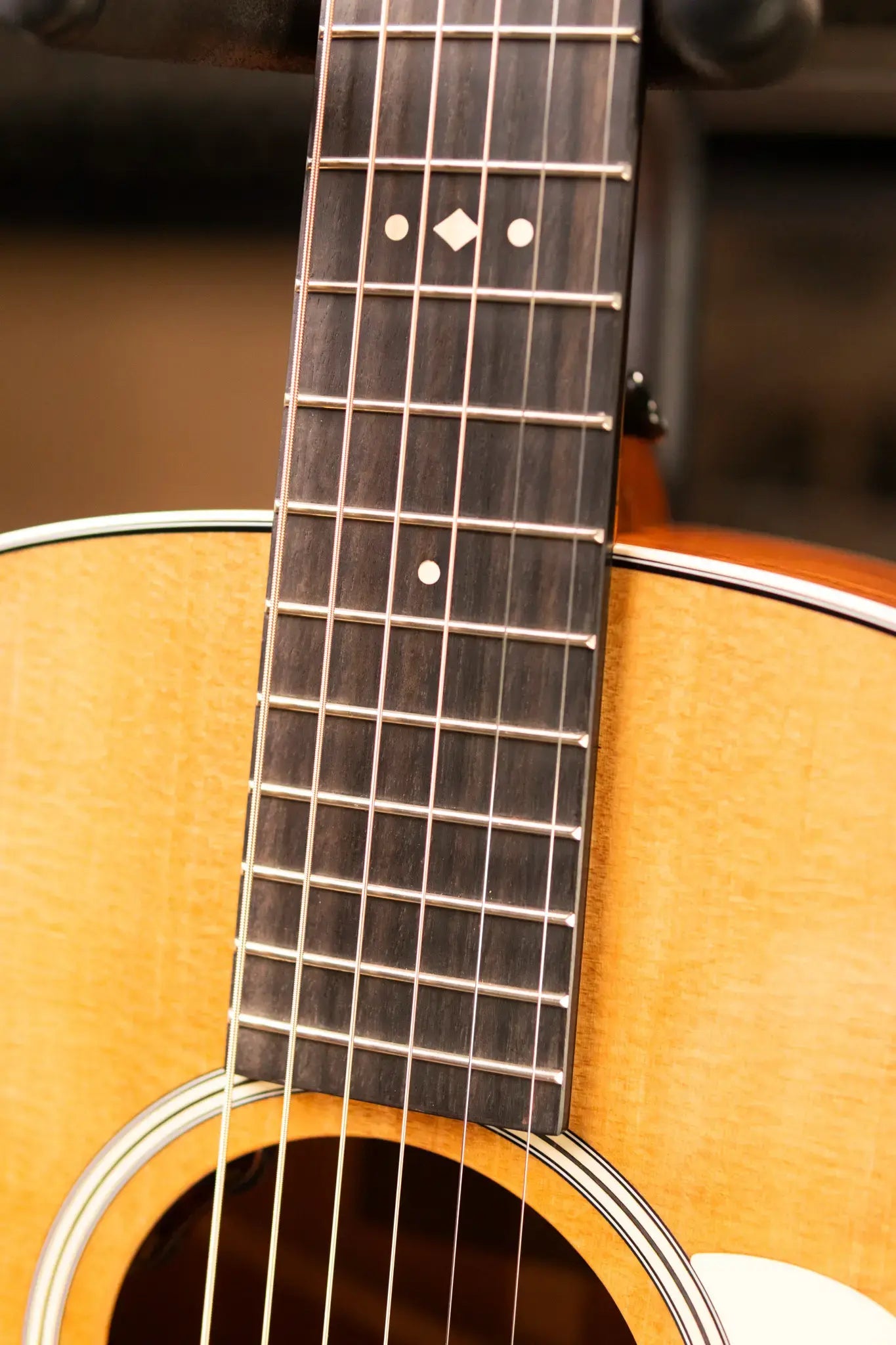 Taylor Gold Label 517e Grand Pacific Acoustic/Electric Guitar - Natural Top with Cream Pickguard and Hardshell Case - Factory Demo
