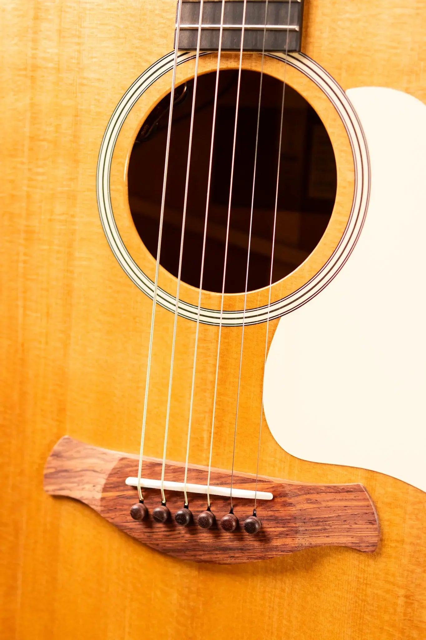 Taylor Gold Label 517e Grand Pacific Acoustic/Electric Guitar - Natural Top with Cream Pickguard and Hardshell Case - Factory Demo