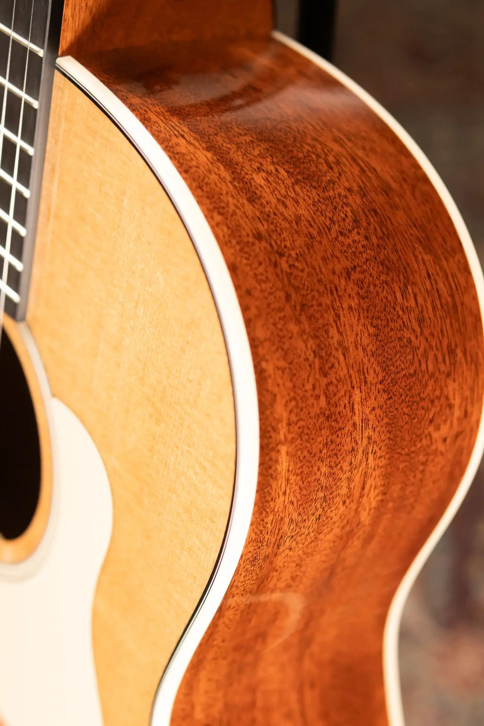 Taylor Gold Label 517e Grand Pacific Acoustic/Electric Guitar - Natural with Cream Pickguard and Hardshell Case - Factory Demo