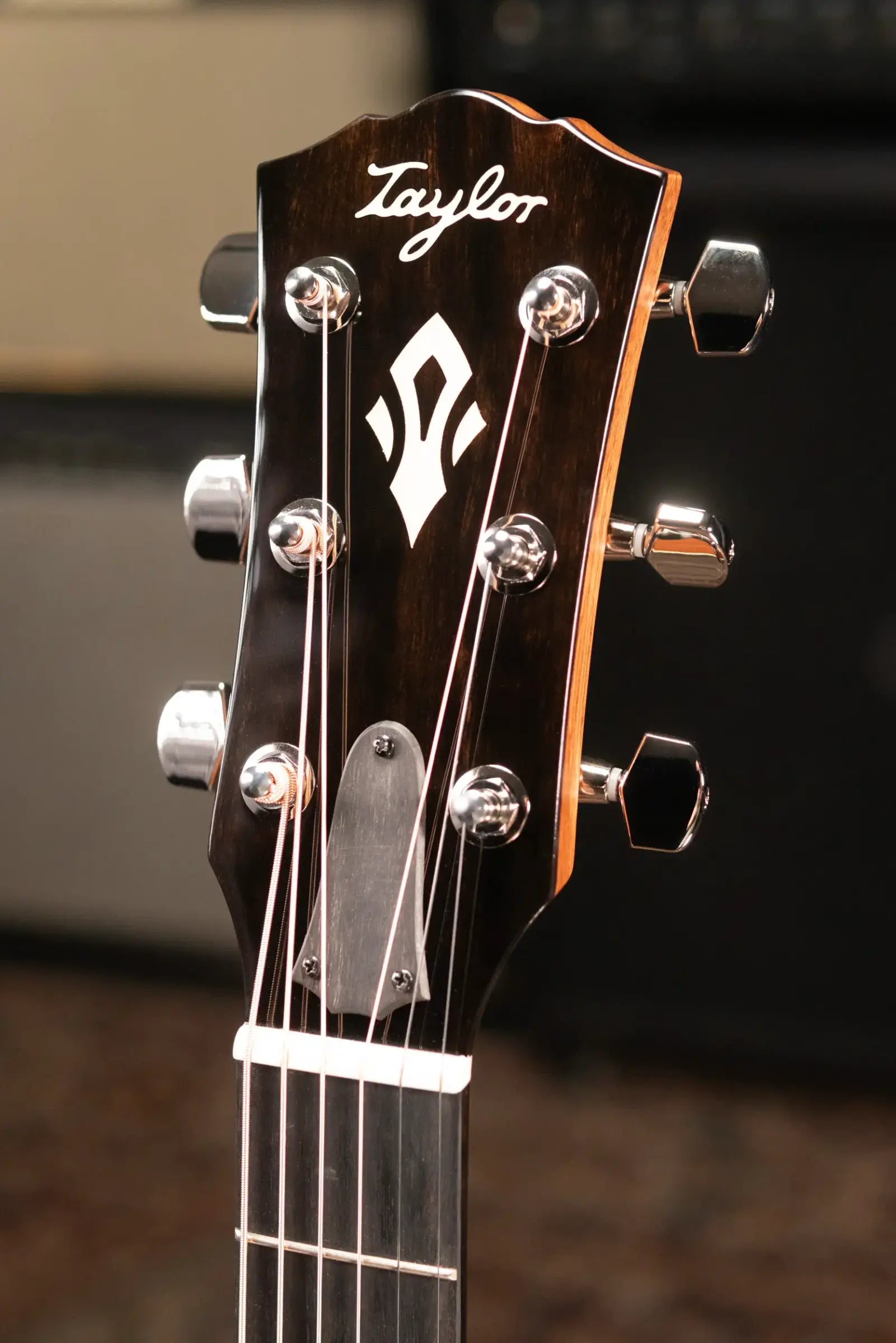 Taylor Gold Label 517e Grand Pacific Acoustic/Electric Guitar - Natural with Cream Pickguard and Hardshell Case - Factory Demo