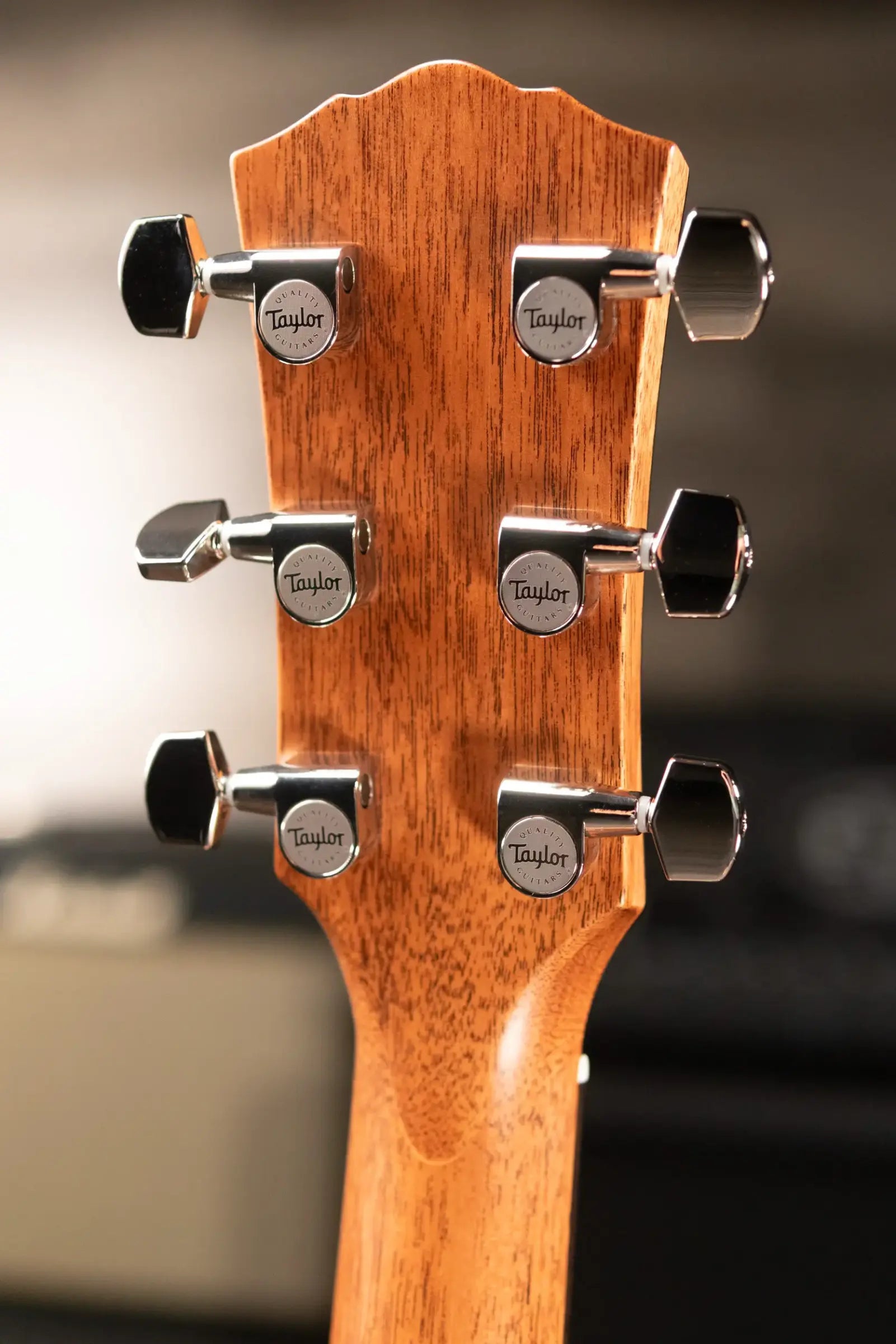 Taylor Gold Label 517e Grand Pacific Acoustic/Electric Guitar - Natural with Cream Pickguard and Hardshell Case - Factory Demo