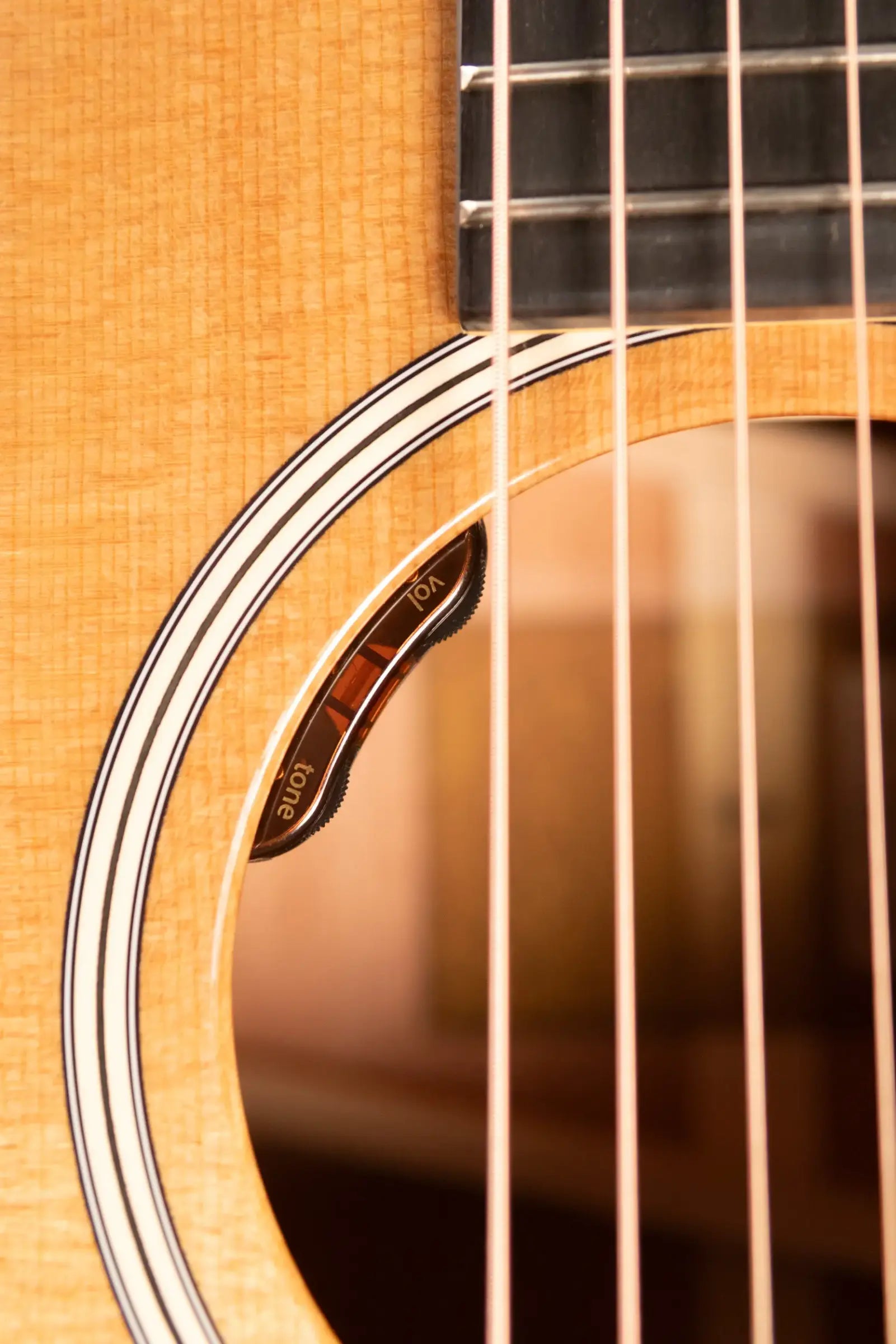 Taylor Gold Label 517e Grand Pacific Acoustic/Electric Guitar - Natural with Cream Pickguard and Hardshell Case - Factory Demo