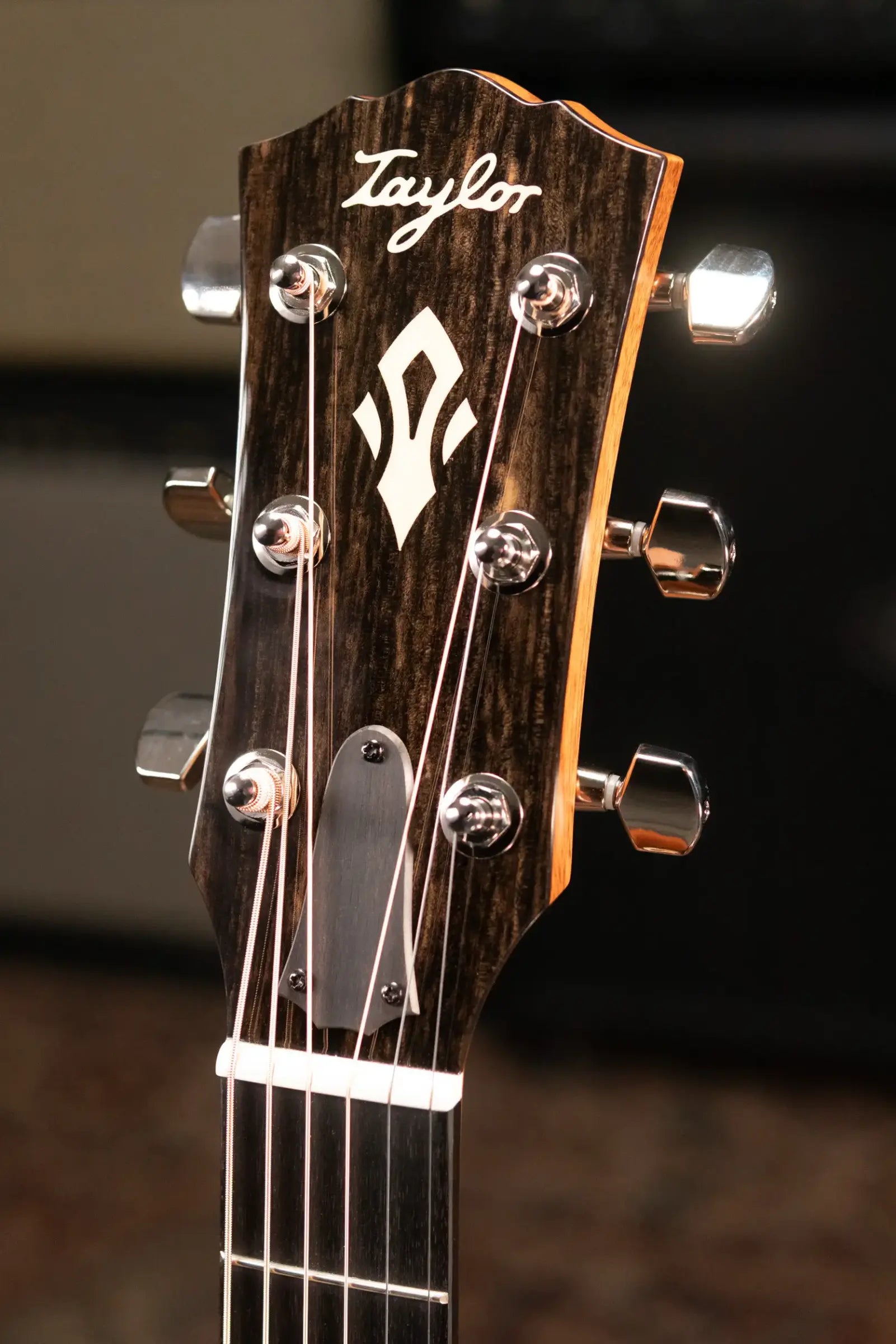 Taylor Gold Label 517e Grand Pacific Acoustic/Electric Guitar - Natural with Hardshell Case