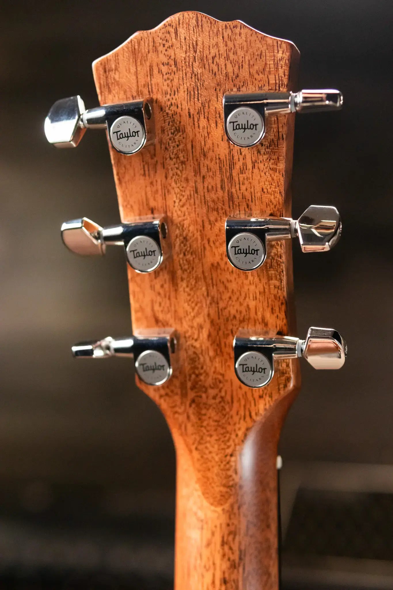 Taylor Gold Label 517e SB Grand Pacific Acoustic/Electric Guitar - Sunburst with Cream Pickguard and Hardshell Case