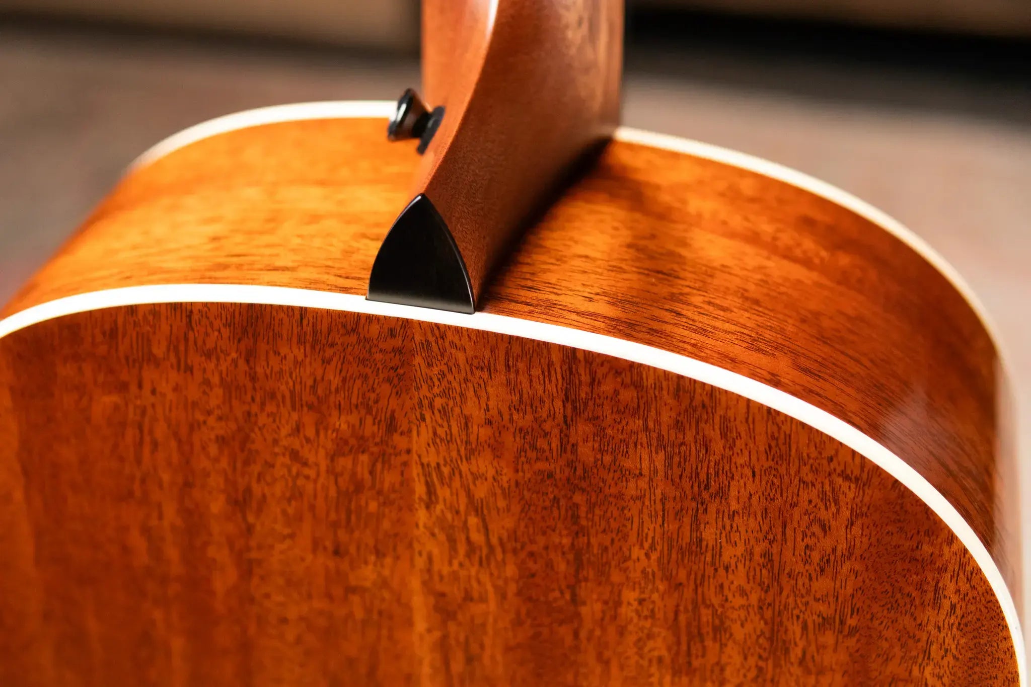 Taylor Gold Label 517e SB Grand Pacific Acoustic/Electric Guitar - Sunburst with Cream Pickguard and Hardshell Case