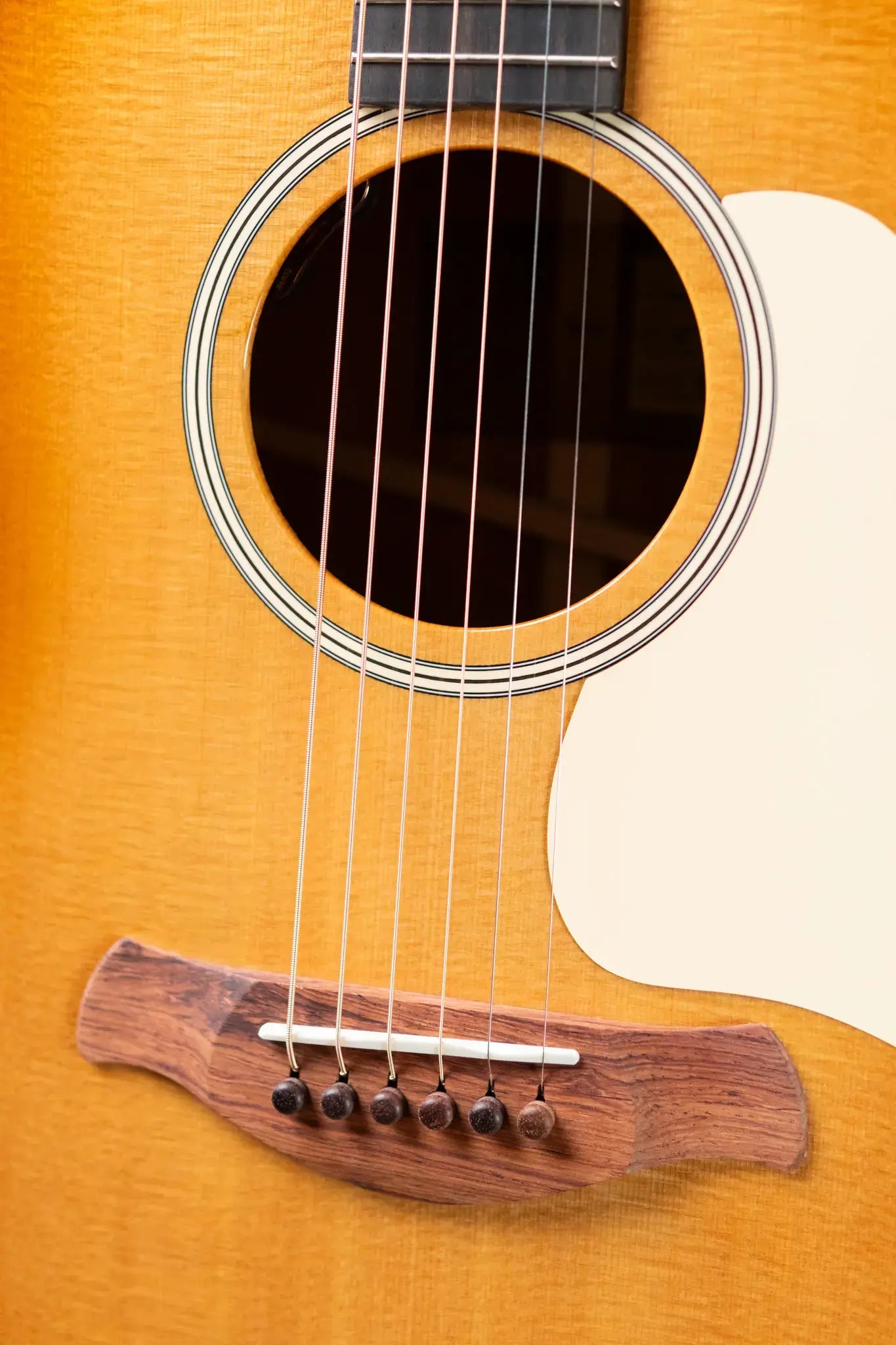 Taylor Gold Label 517e SB Grand Pacific Acoustic/Electric Guitar - Sunburst with Cream Pickguard and Hardshell Case