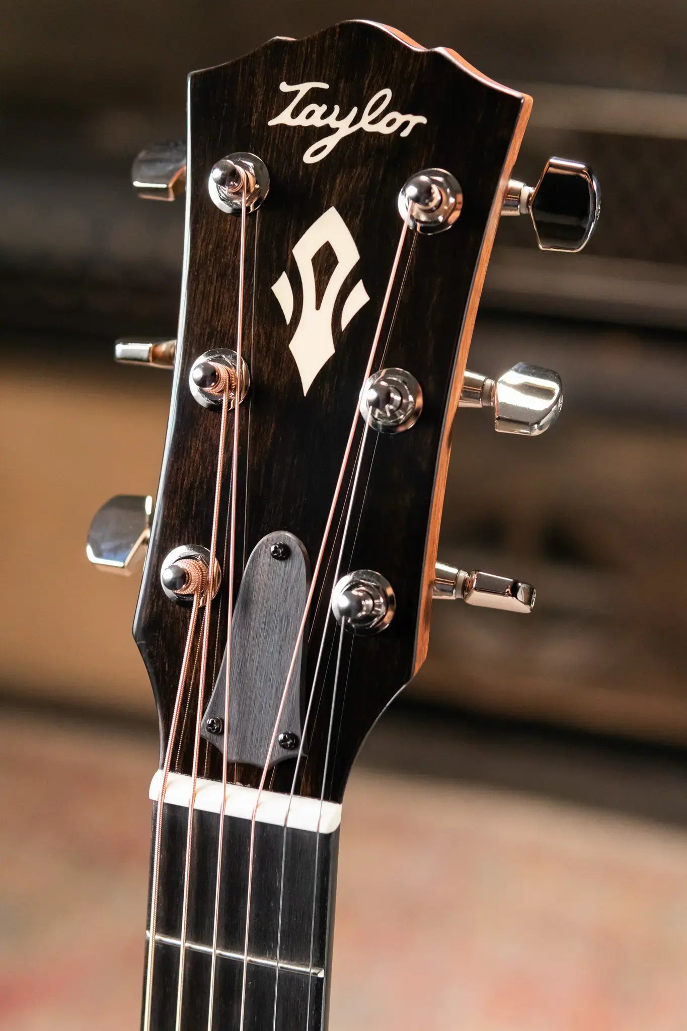 Taylor Gold Label 517e SB Grand Pacific Acoustic/Electric Guitar - Sunburst with Cream Pickguard and Hardshell Case - Factory Demo