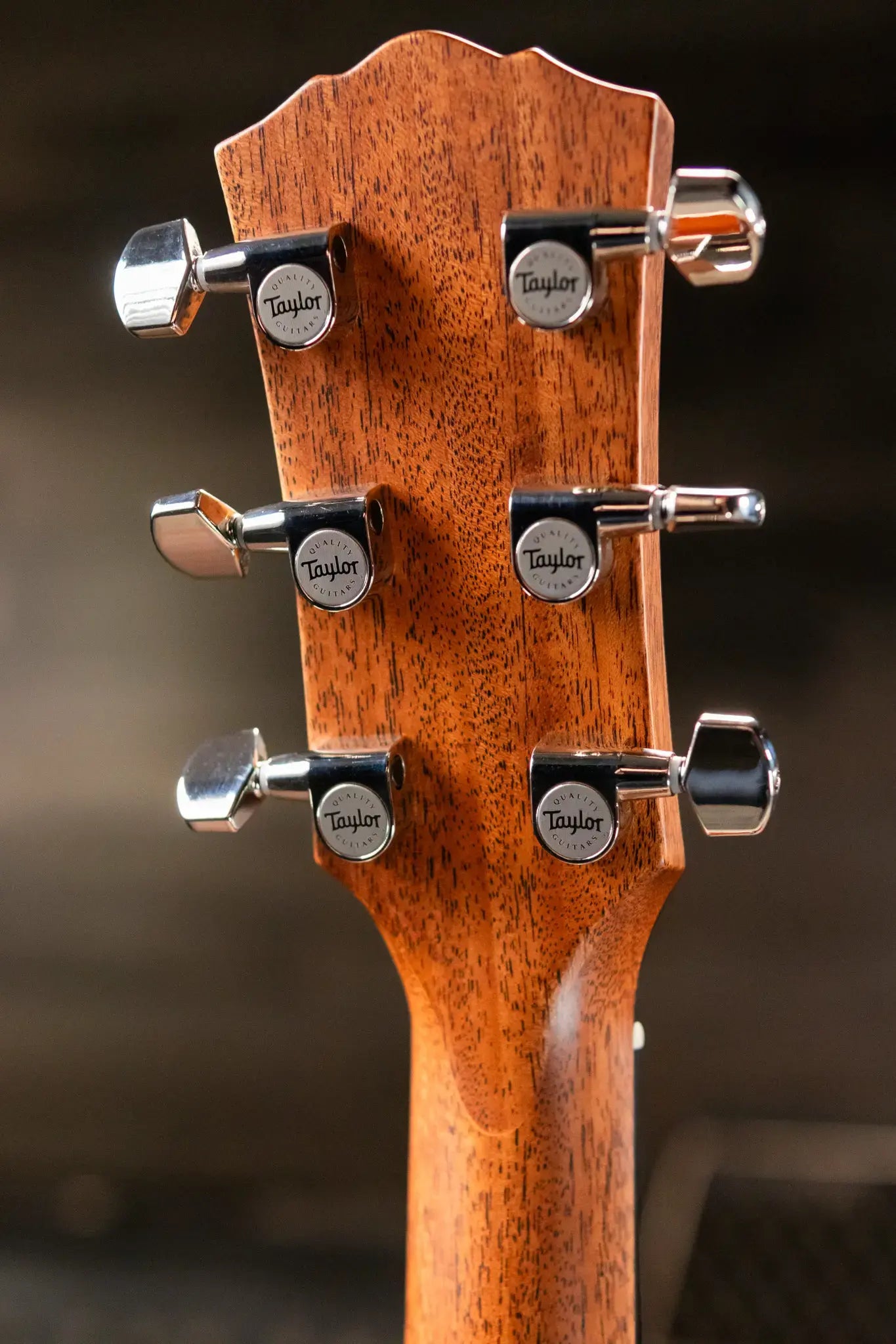 Taylor Gold Label 517e SB Grand Pacific Acoustic/Electric Guitar - Sunburst with Cream Pickguard and Hardshell Case - Factory Demo