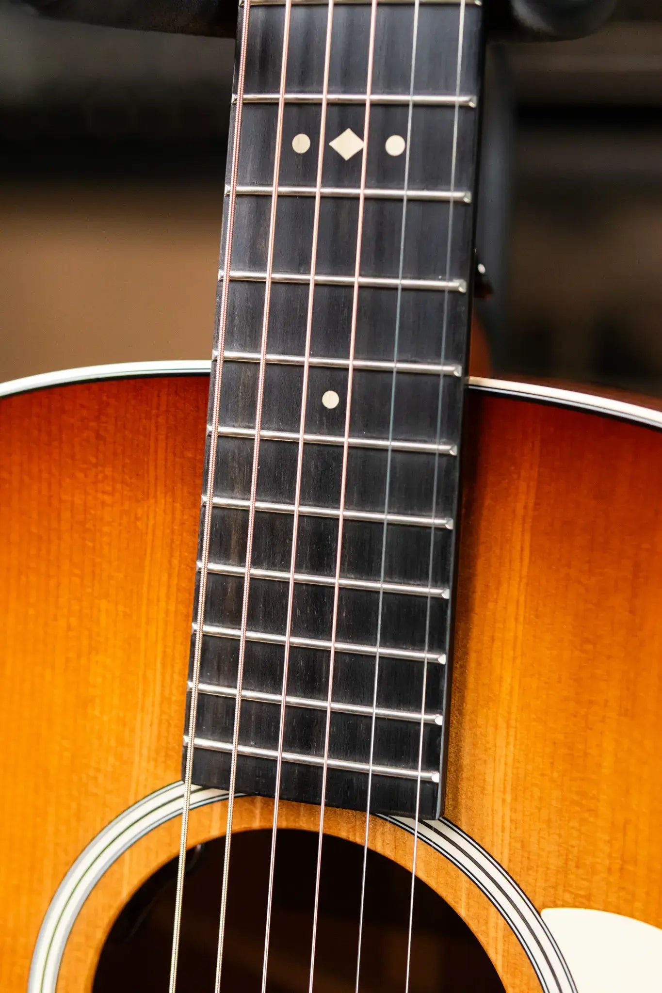 Taylor Gold Label 517e SB Grand Pacific Acoustic/Electric Guitar - Sunburst with Cream Pickguard and Hardshell Case - Factory Demo