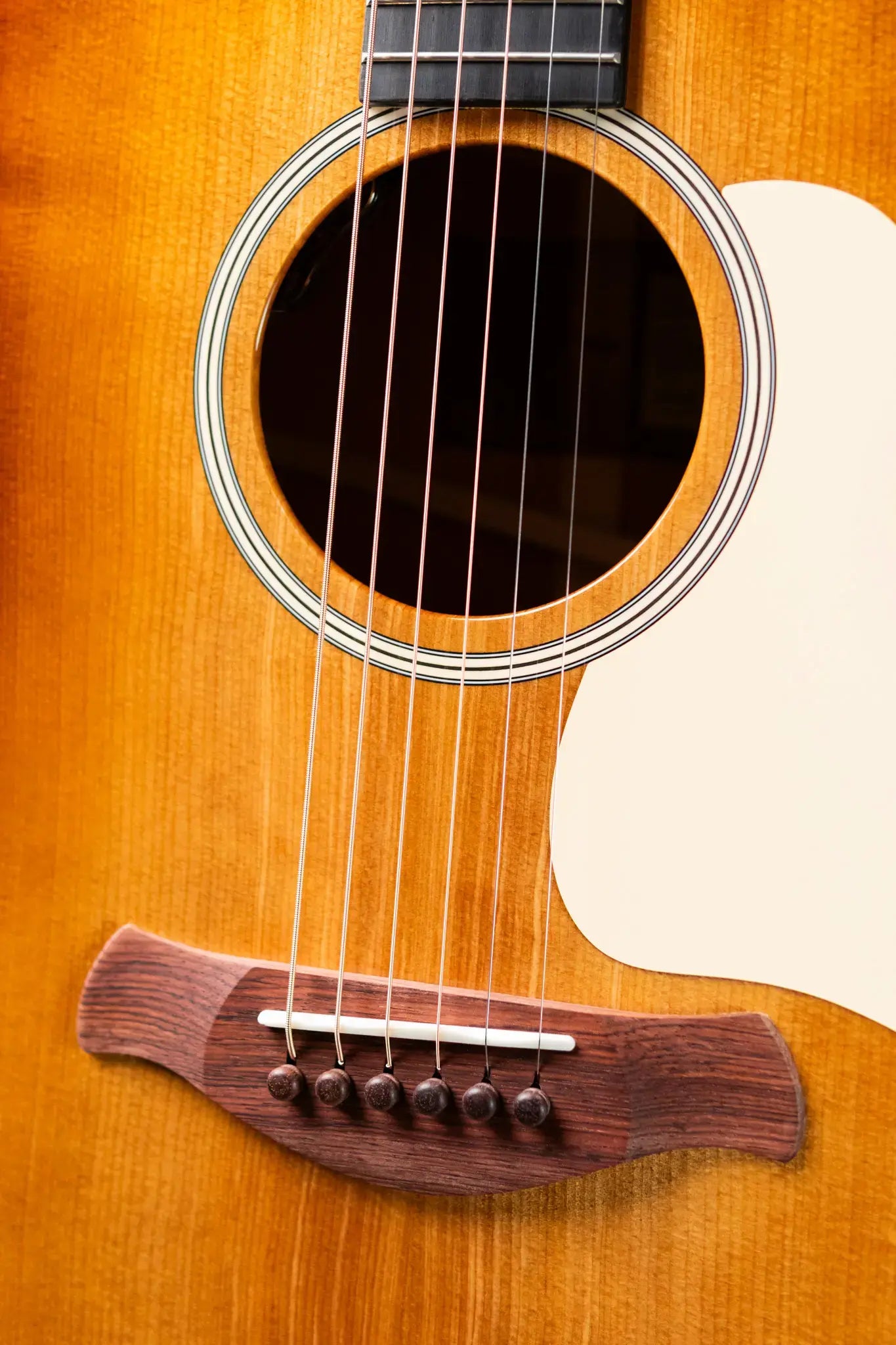 Taylor Gold Label 517e SB Grand Pacific Acoustic/Electric Guitar - Sunburst with Cream Pickguard and Hardshell Case - Factory Demo
