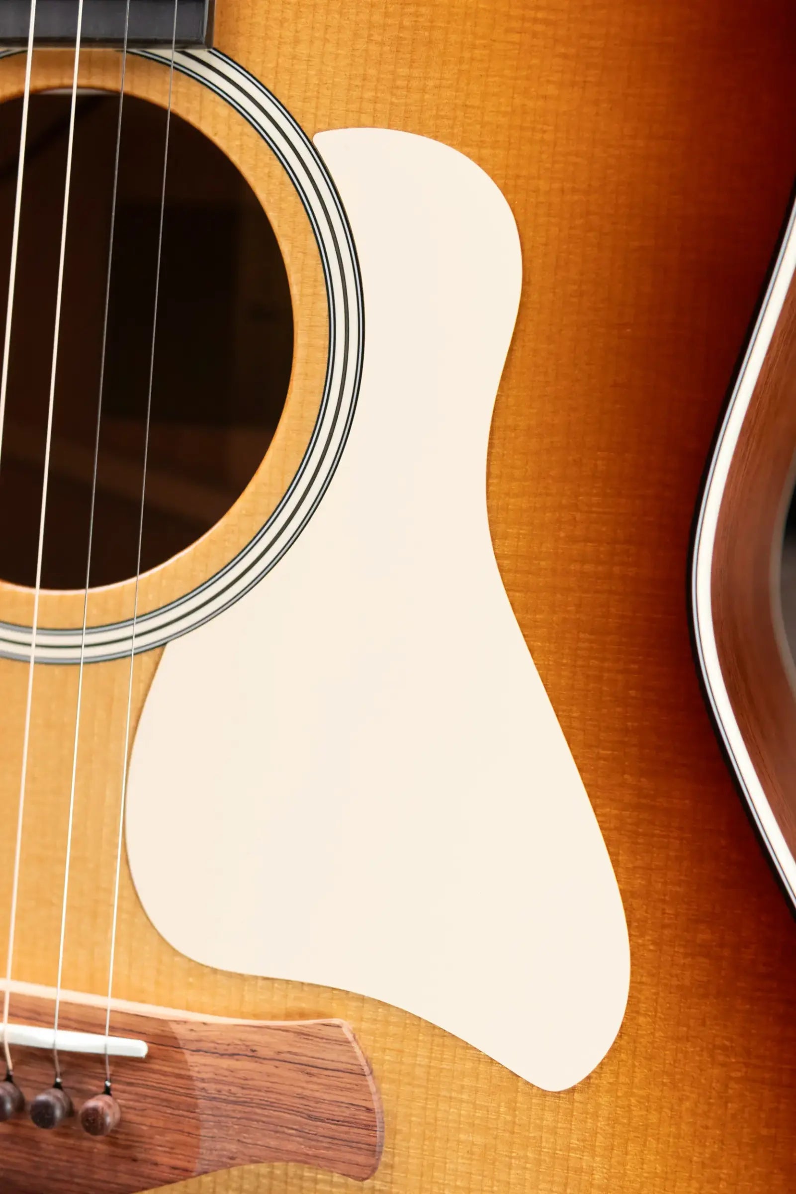 Taylor Gold Label 517e SB Grand Pacific Acoustic/Electric Guitar - Sunburst with Cream Pickguard and Hardshell Case