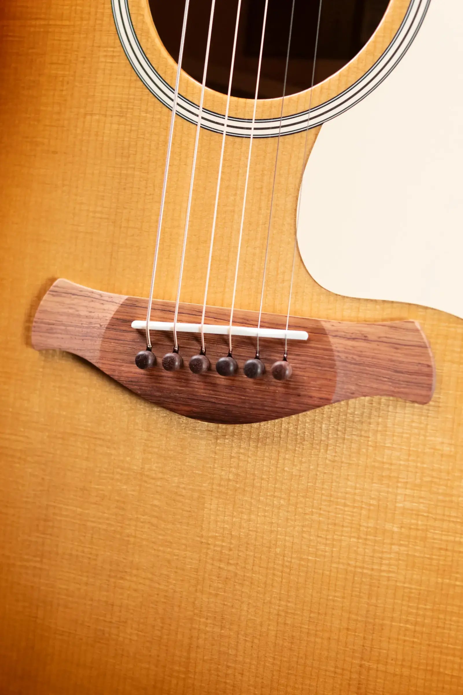 Taylor Gold Label 517e SB Grand Pacific Acoustic/Electric Guitar - Sunburst with Cream Pickguard and Hardshell Case