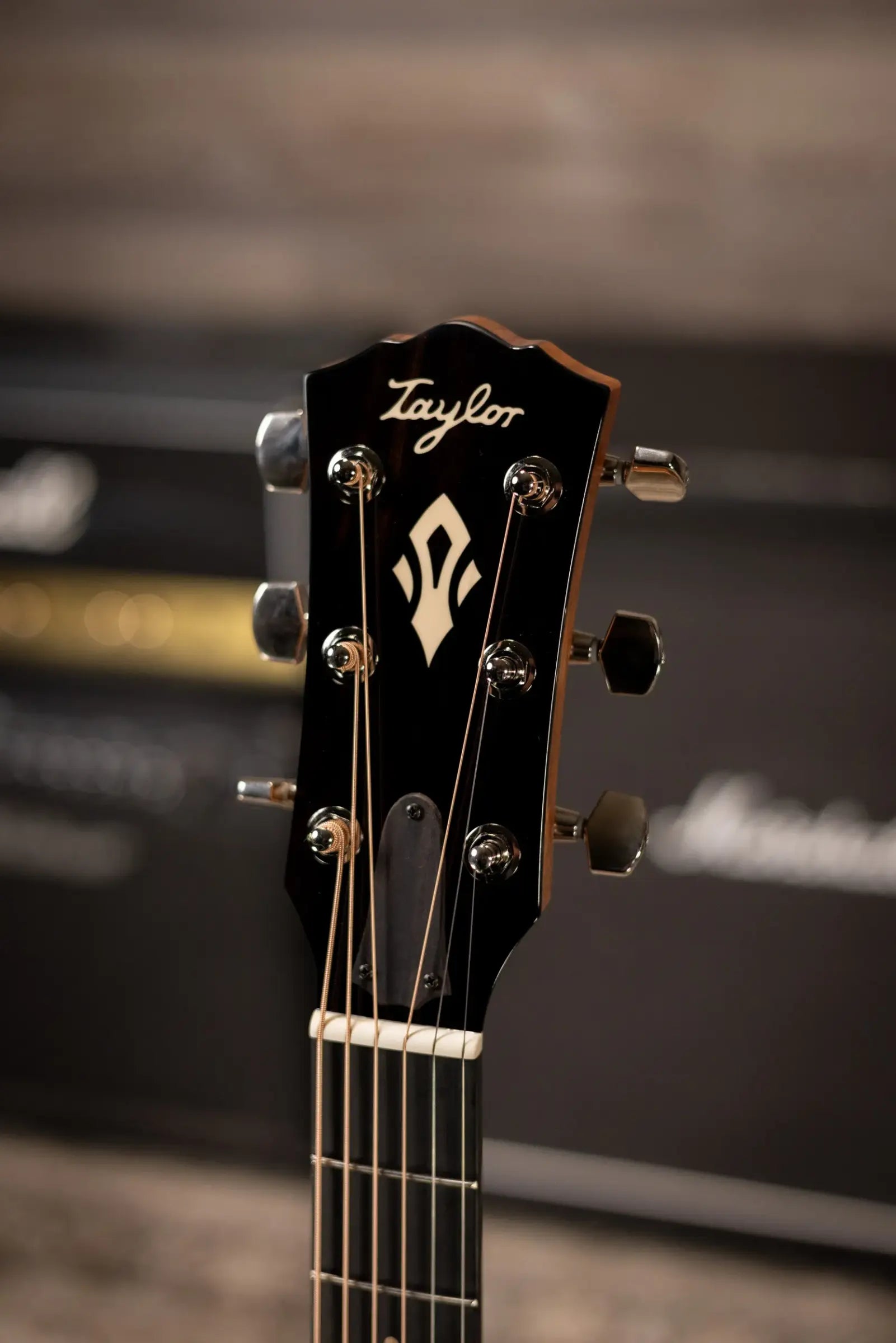 Taylor Gold Label 517e SB Grand Pacific Acoustic/Electric Guitar - Sunburst with Cream Pickguard and Hardshell Case