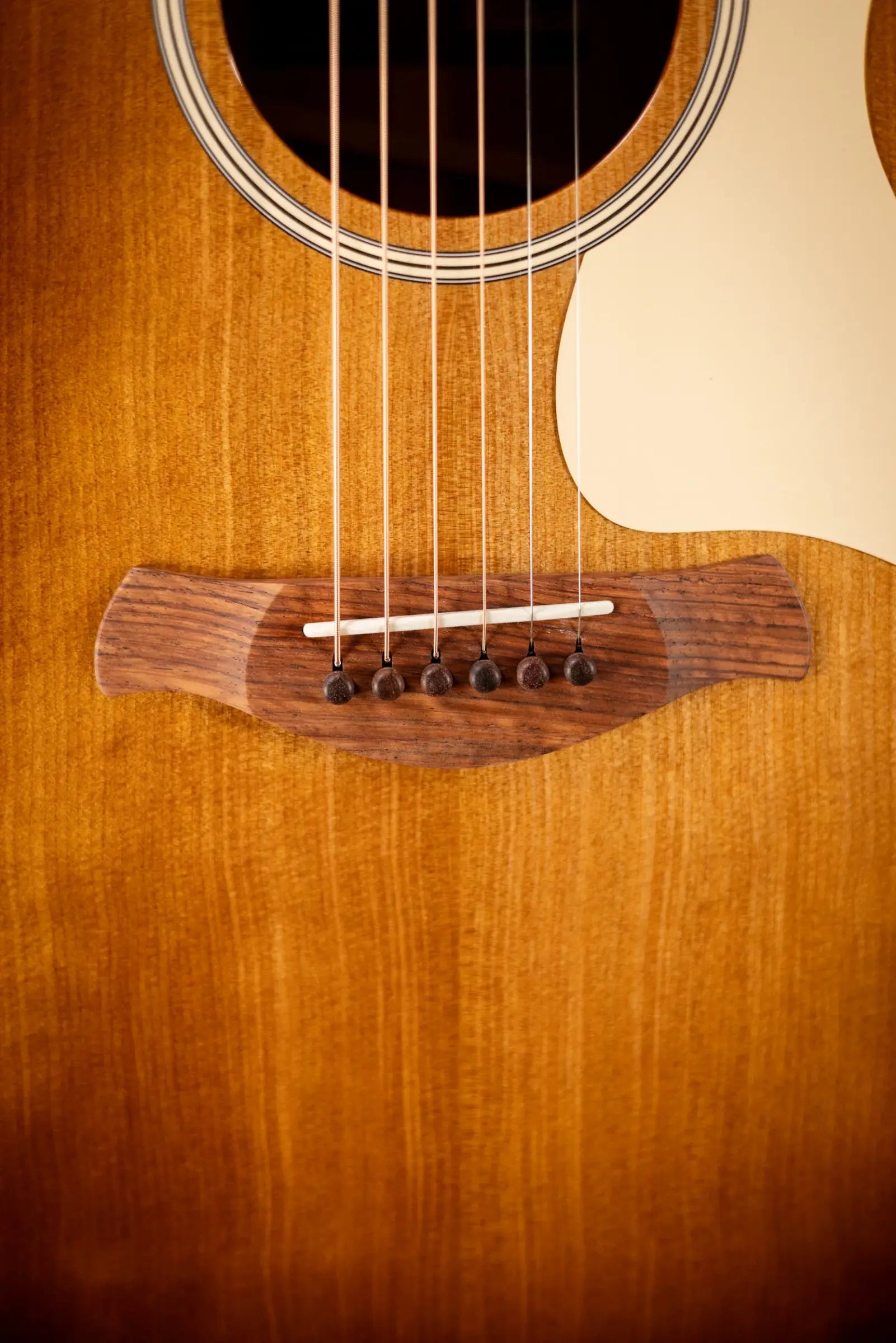 Taylor Gold Label 517e SB Grand Pacific Acoustic/Electric Guitar - Sunburst with Cream Pickguard and Hardshell Case