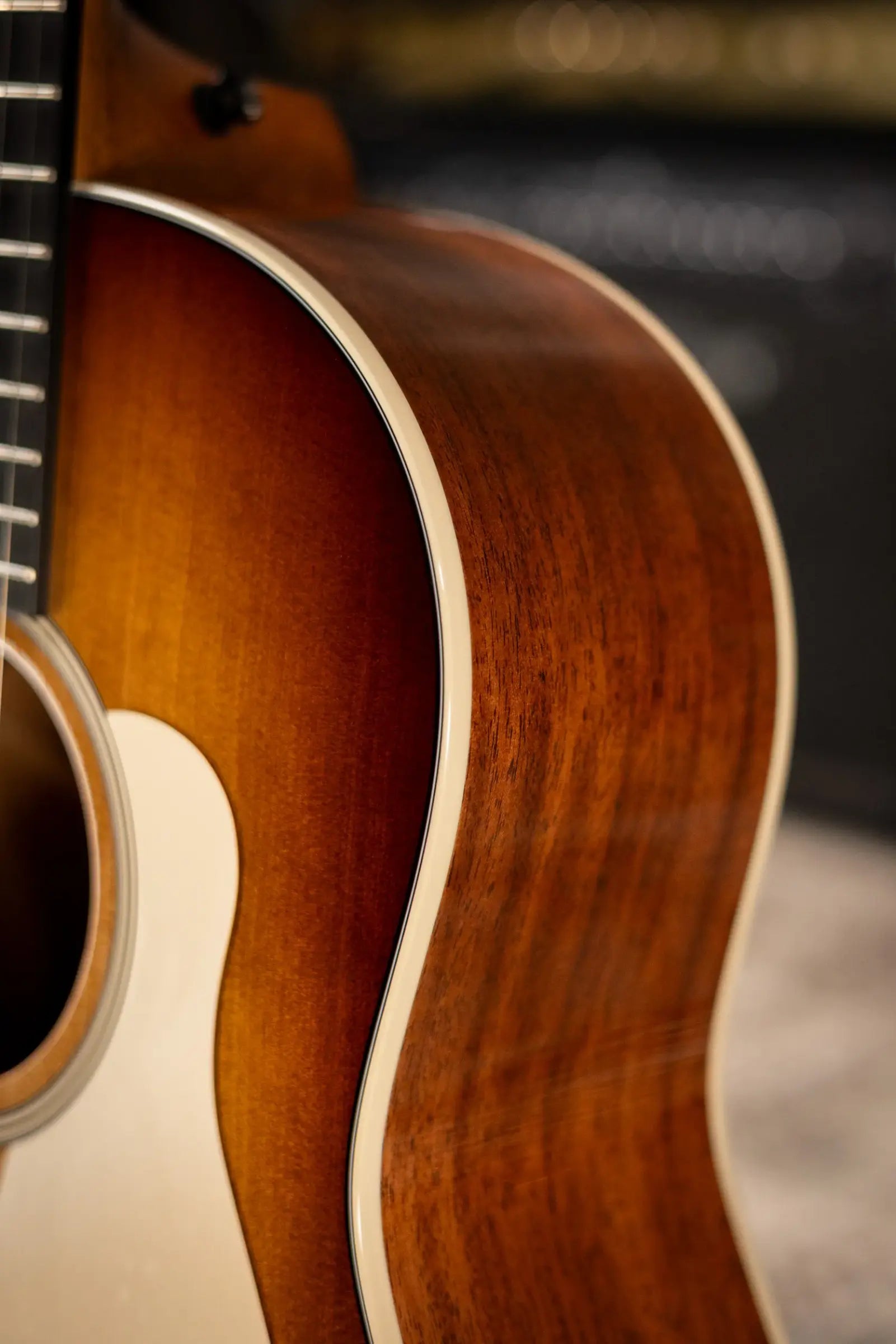 Taylor Gold Label 517e SB Grand Pacific Acoustic/Electric Guitar - Sunburst with Cream Pickguard and Hardshell Case