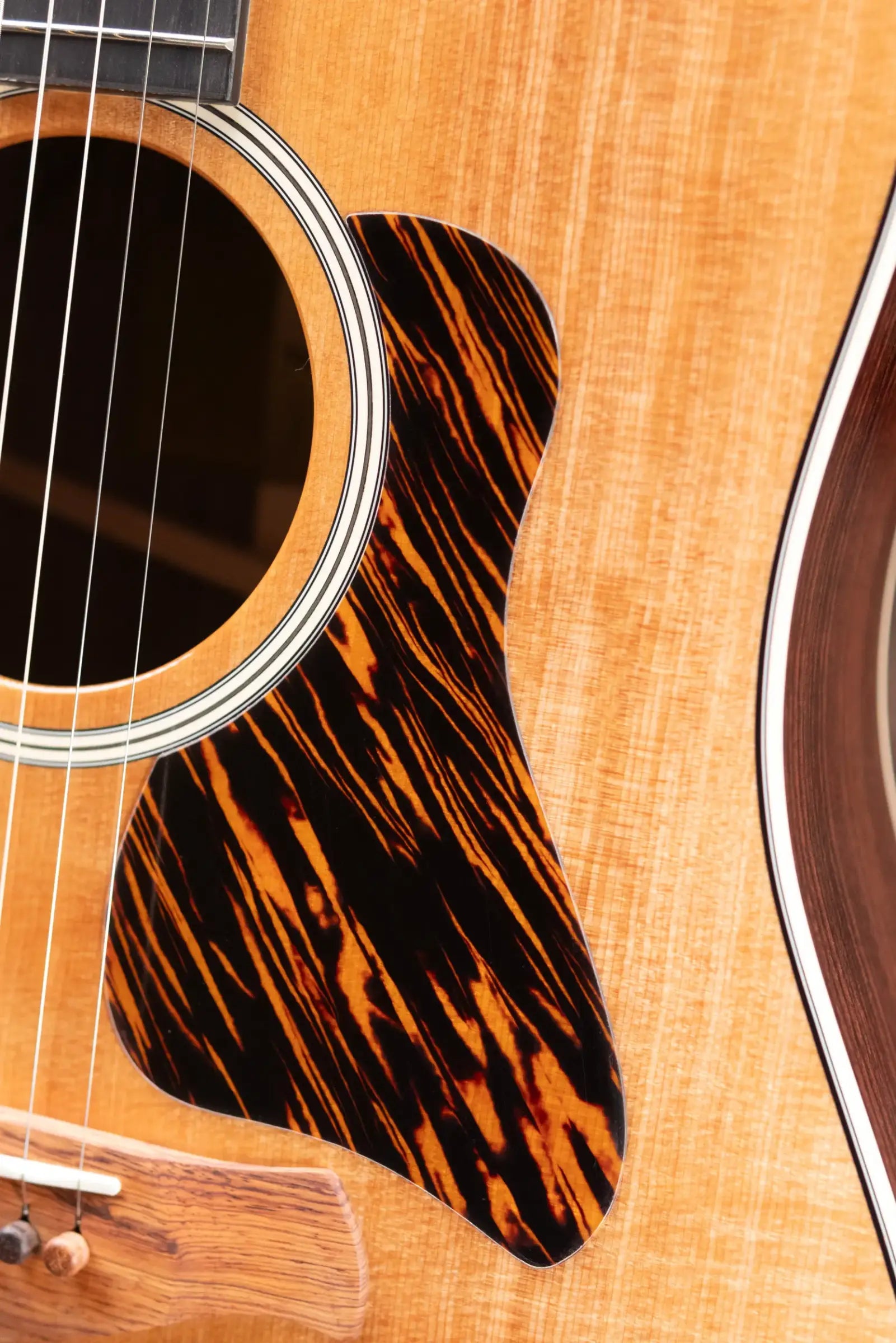 Taylor Gold Label 710e Dreadnought Acoustic/Electric Guitar with Hardshell Case