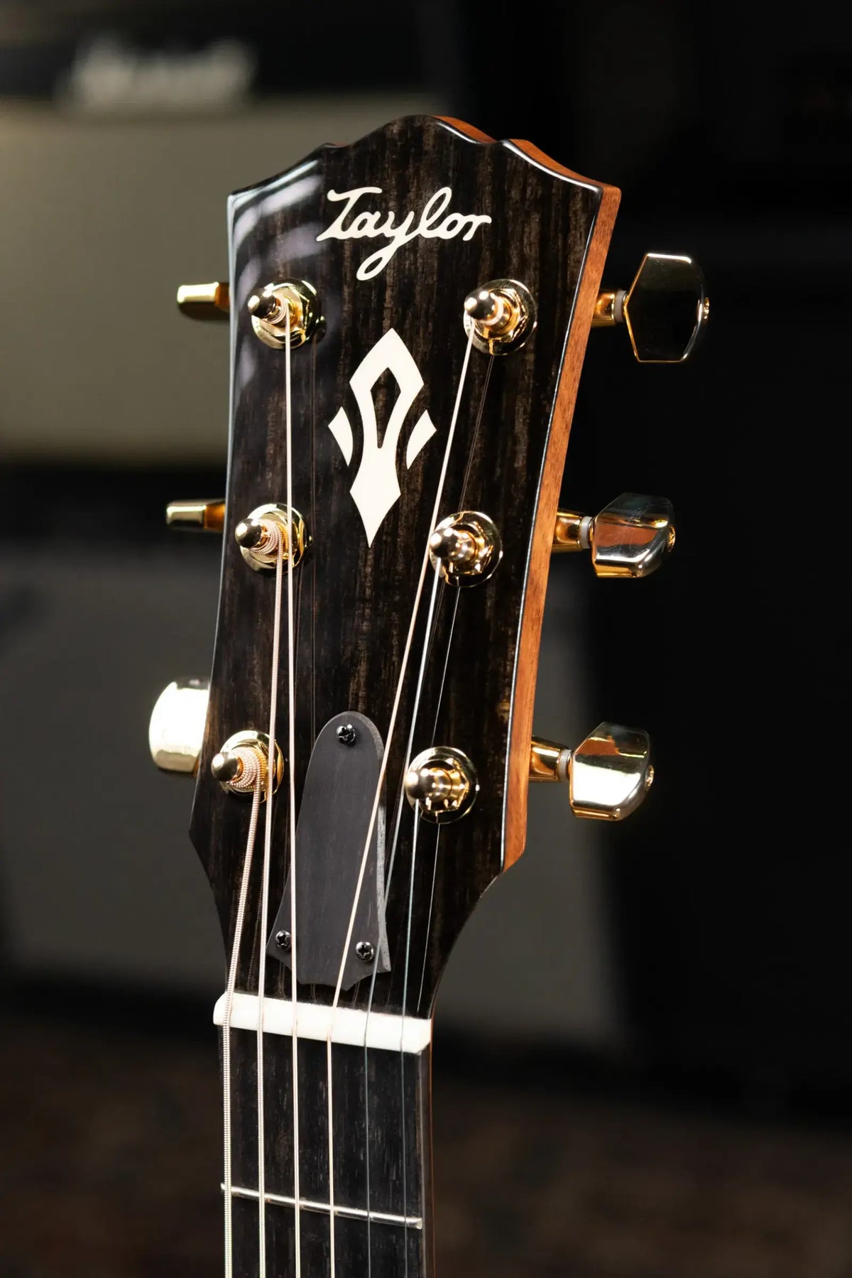 Taylor Gold Label 710e Special Edition Dreadnought Acoustic/Electric Guitar - Nashville Burst with Hardshell Case - Factory Demo